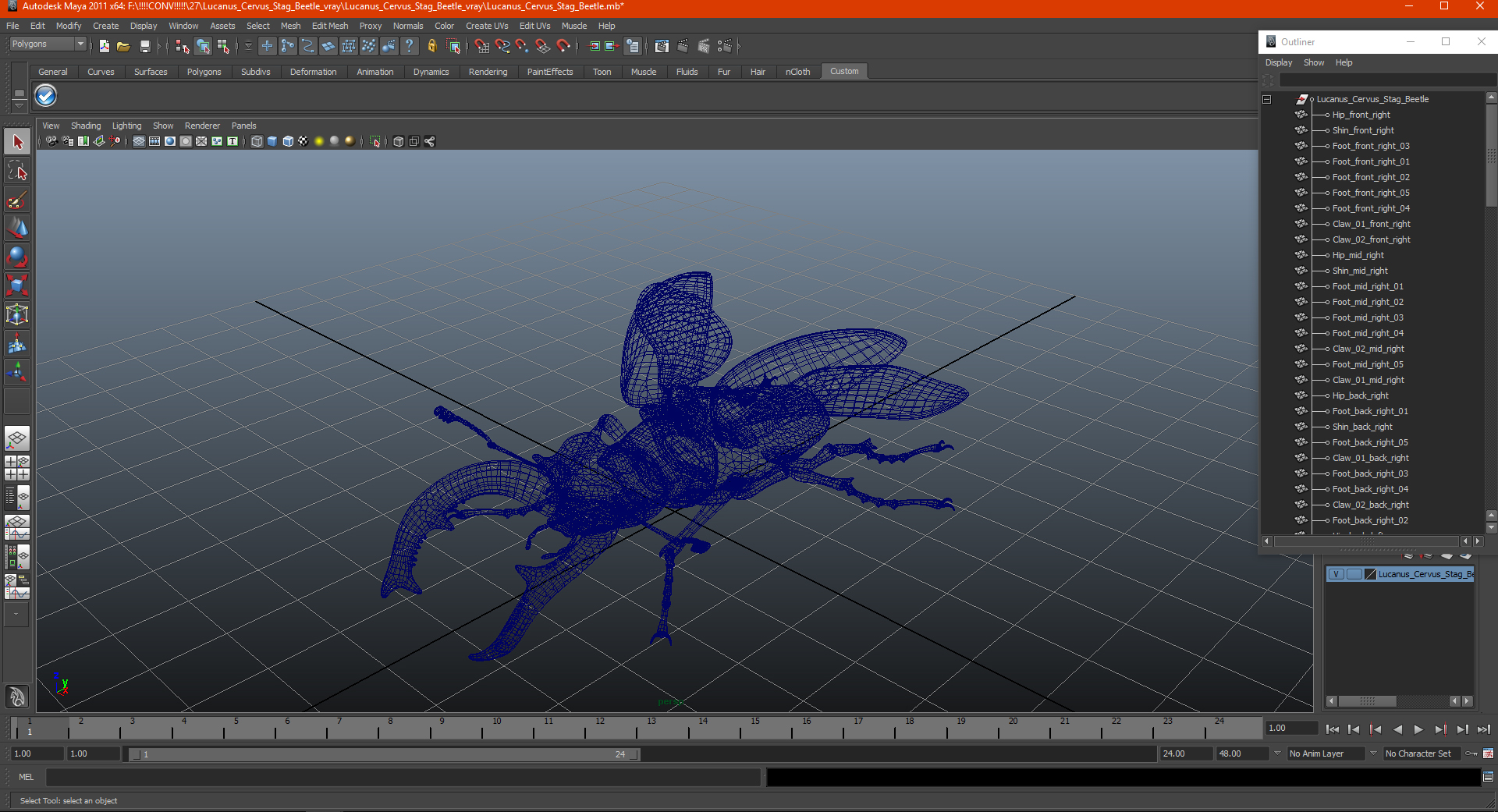 3D Lucanus Cervus Stag Beetle