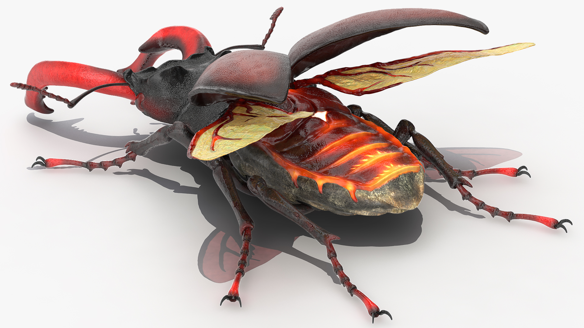 3D Lucanus Cervus Stag Beetle