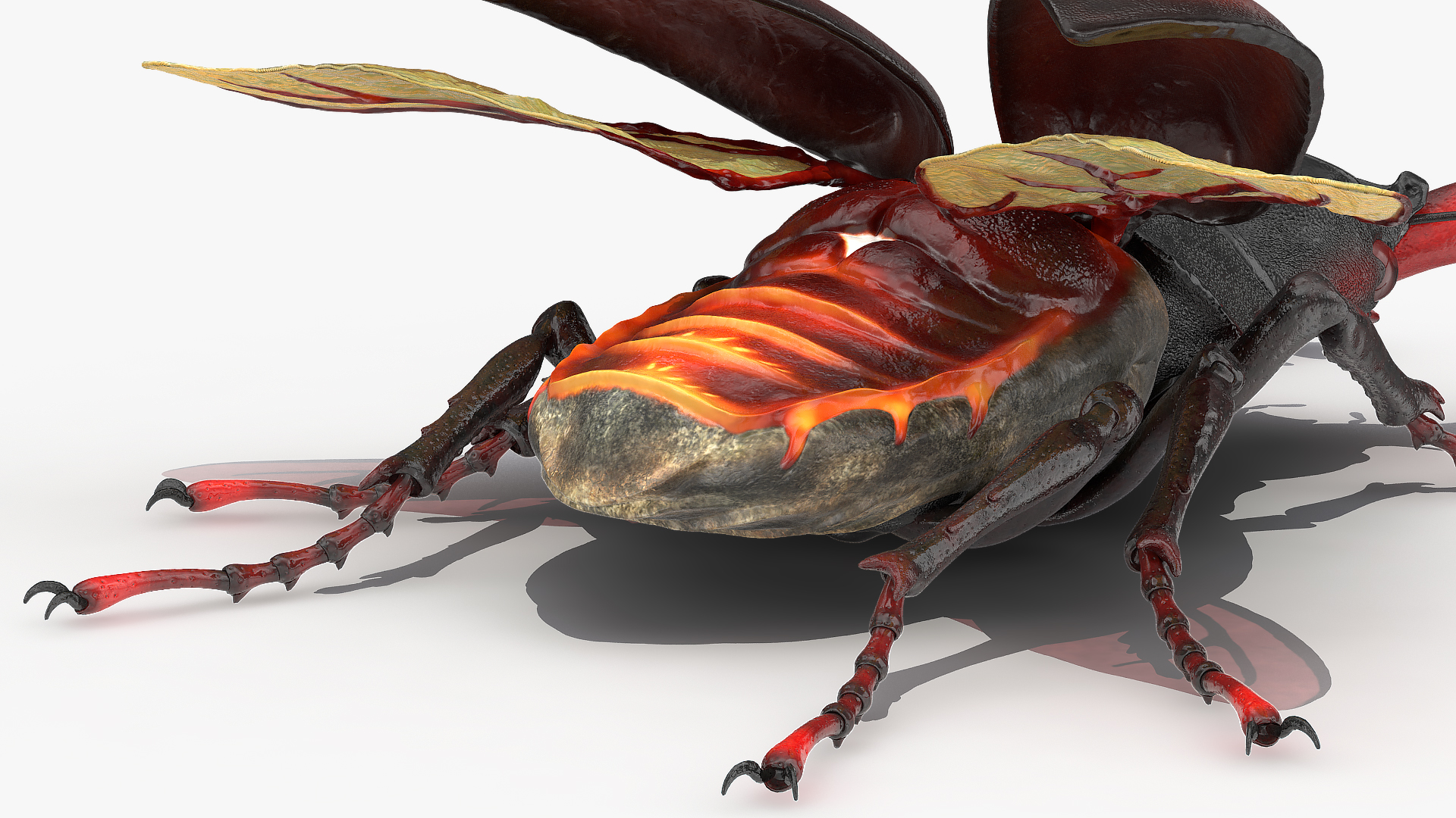 3D Lucanus Cervus Stag Beetle