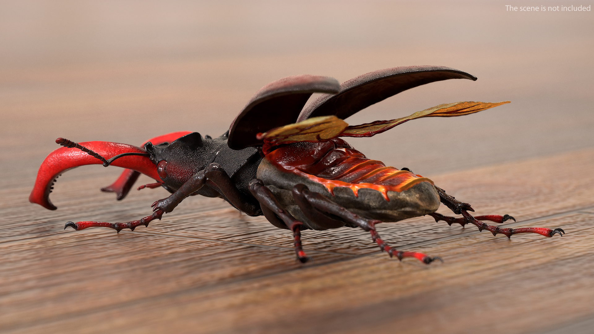 3D Lucanus Cervus Stag Beetle