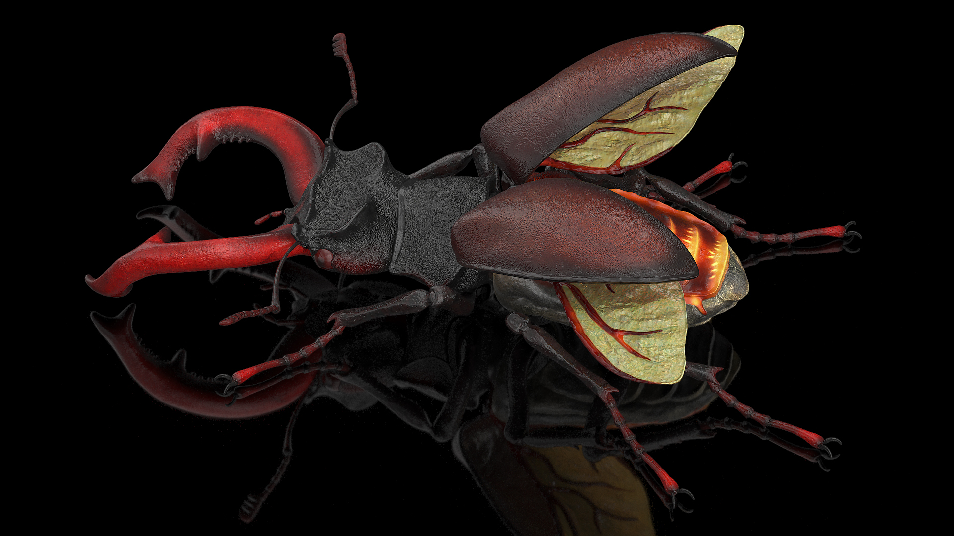 3D Lucanus Cervus Stag Beetle