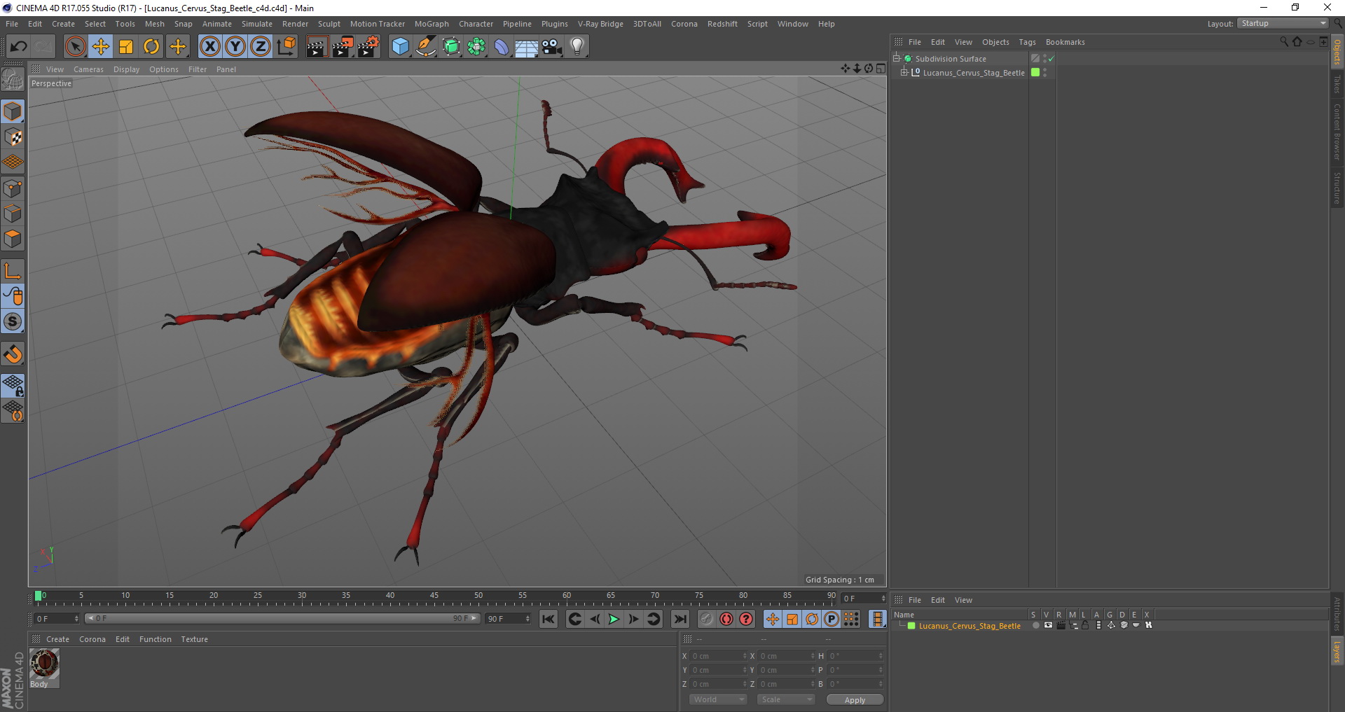 3D Lucanus Cervus Stag Beetle