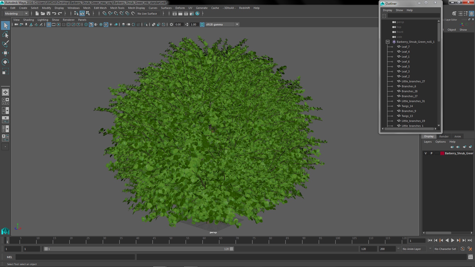 3D model Barberry Shrub Green