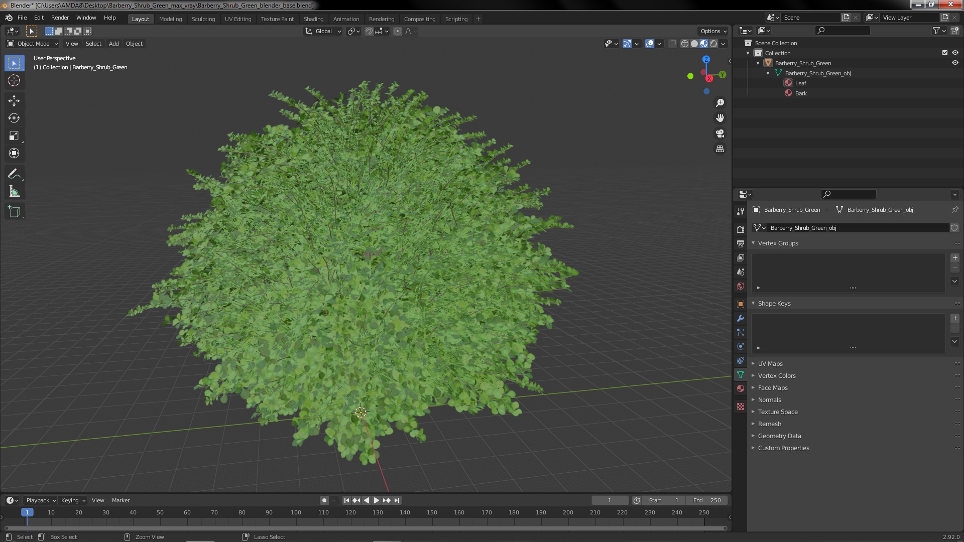 3D model Barberry Shrub Green