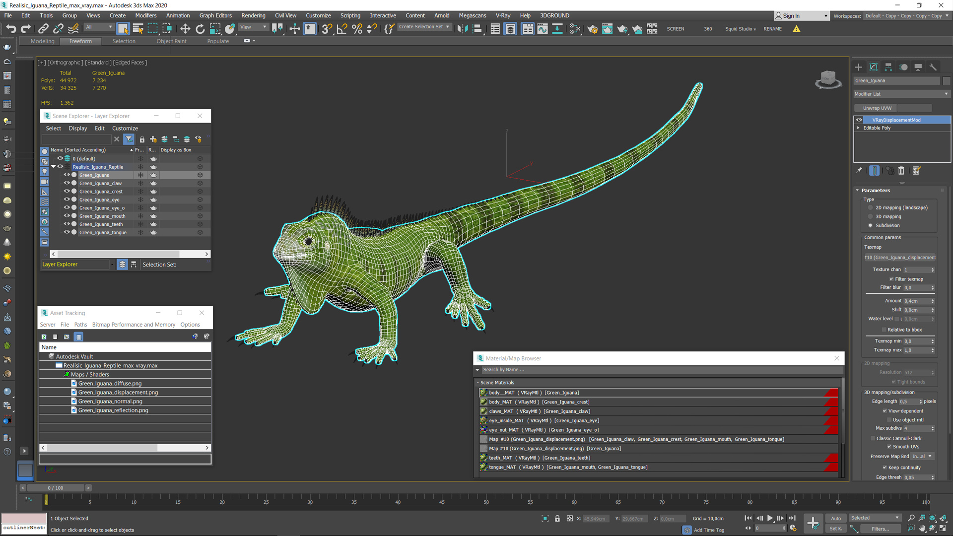 3D Realisic Iguana Reptile model