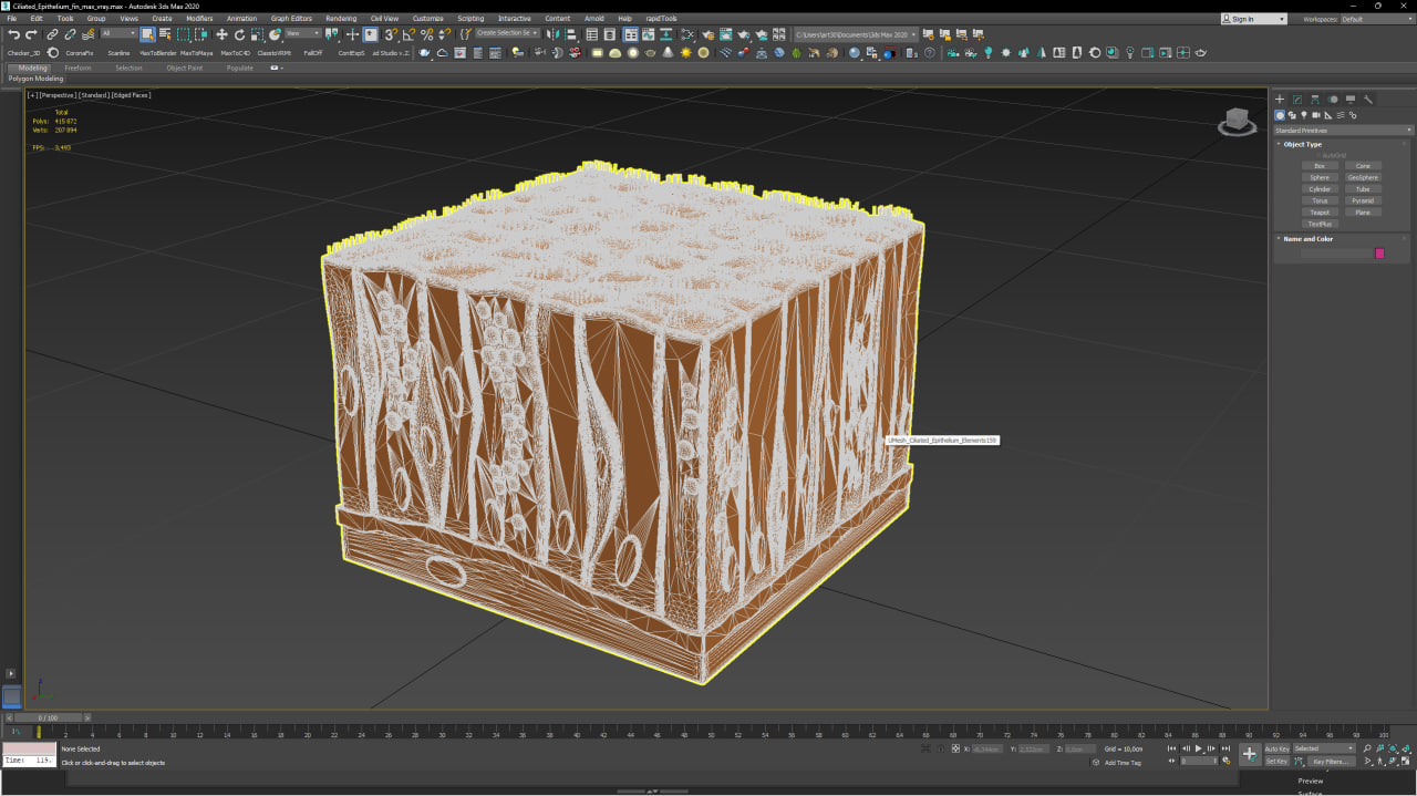 Ciliated Epithelium for 3D Print 3D