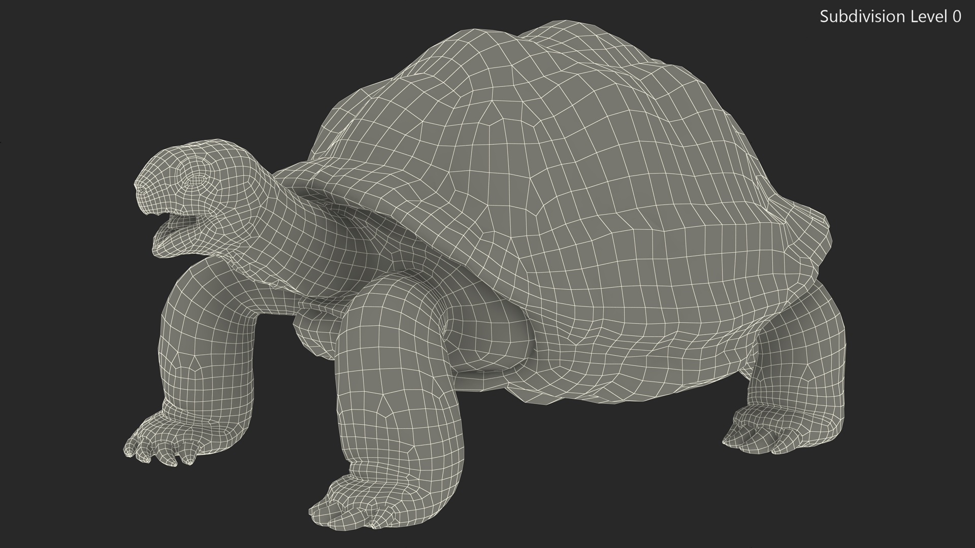 Galapagos Giant Tortoise 3D model