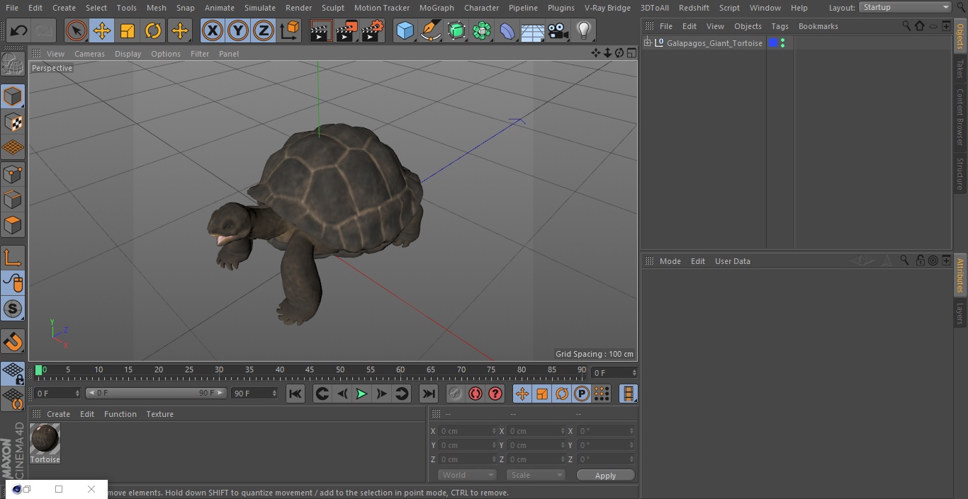 Galapagos Giant Tortoise 3D model