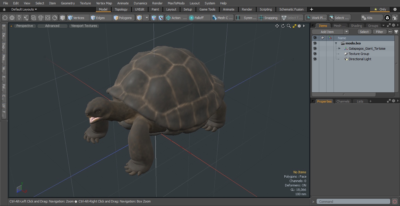 Galapagos Giant Tortoise 3D model