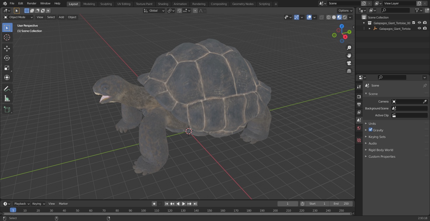 Galapagos Giant Tortoise 3D model