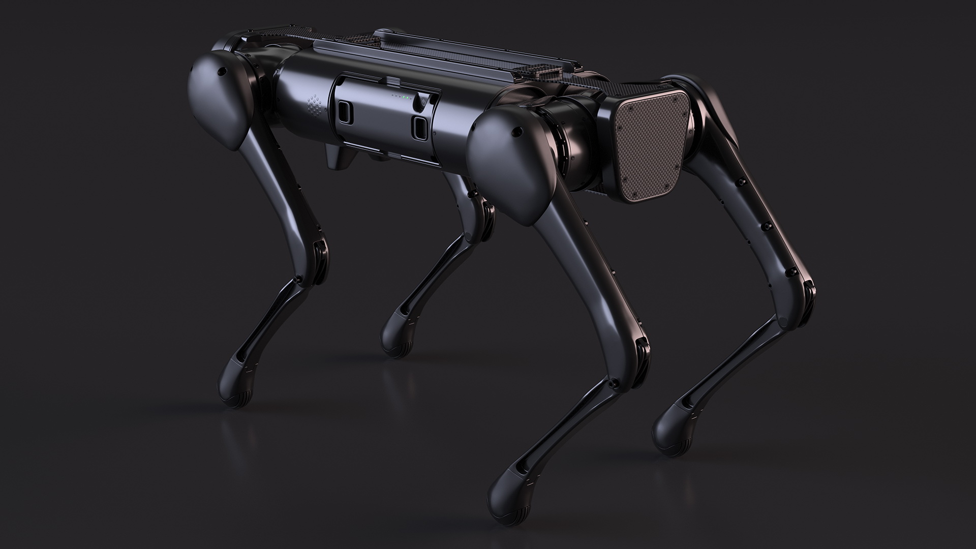 3D Robot Dog Rigged