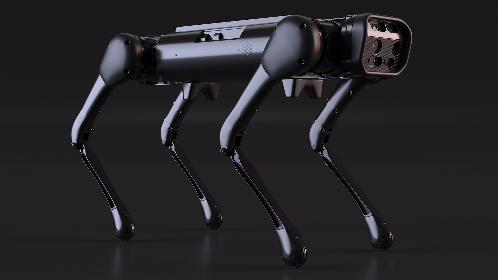 3D Robot Dog Rigged