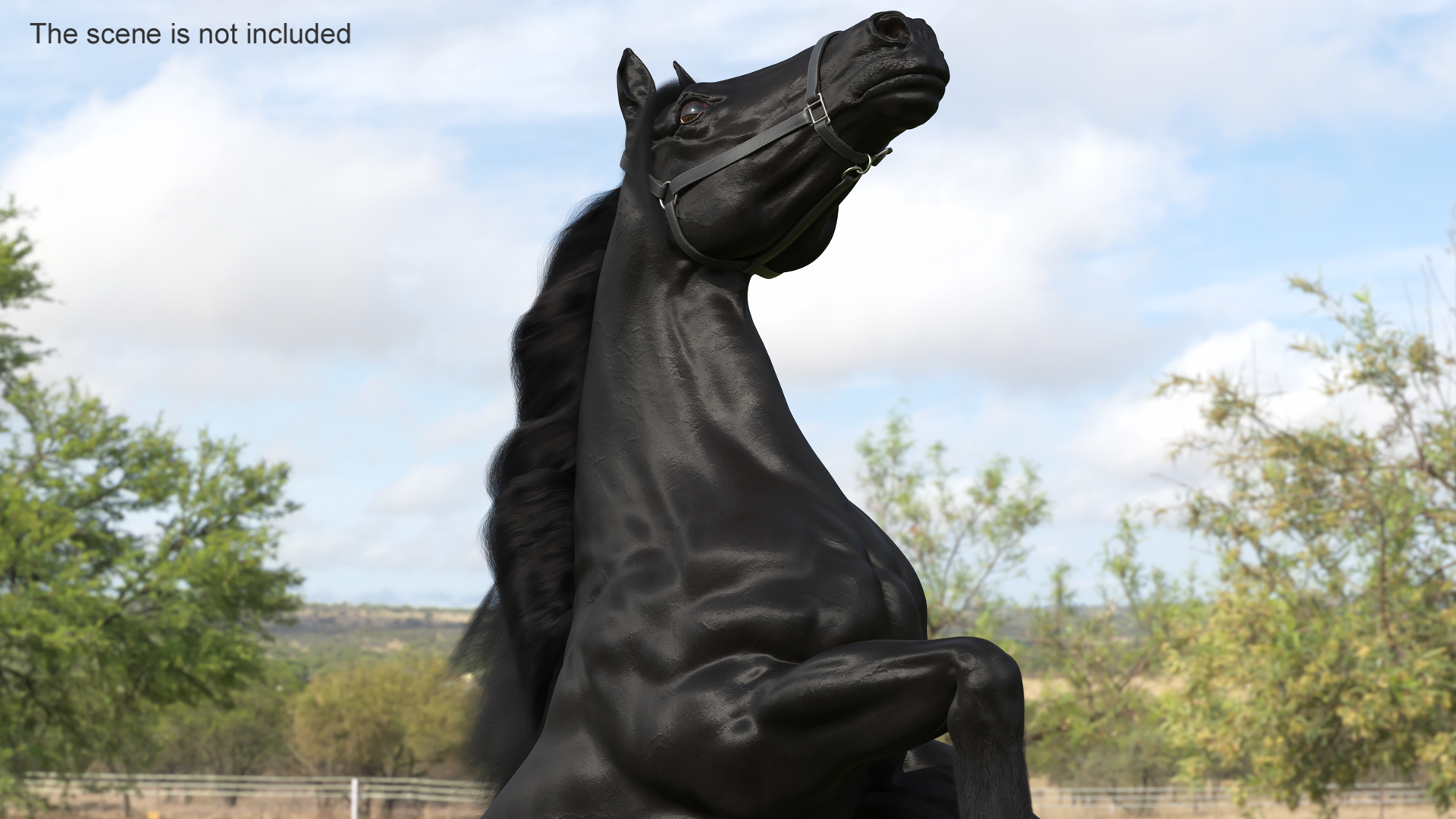 3D Bucking Friesian Horse Fur