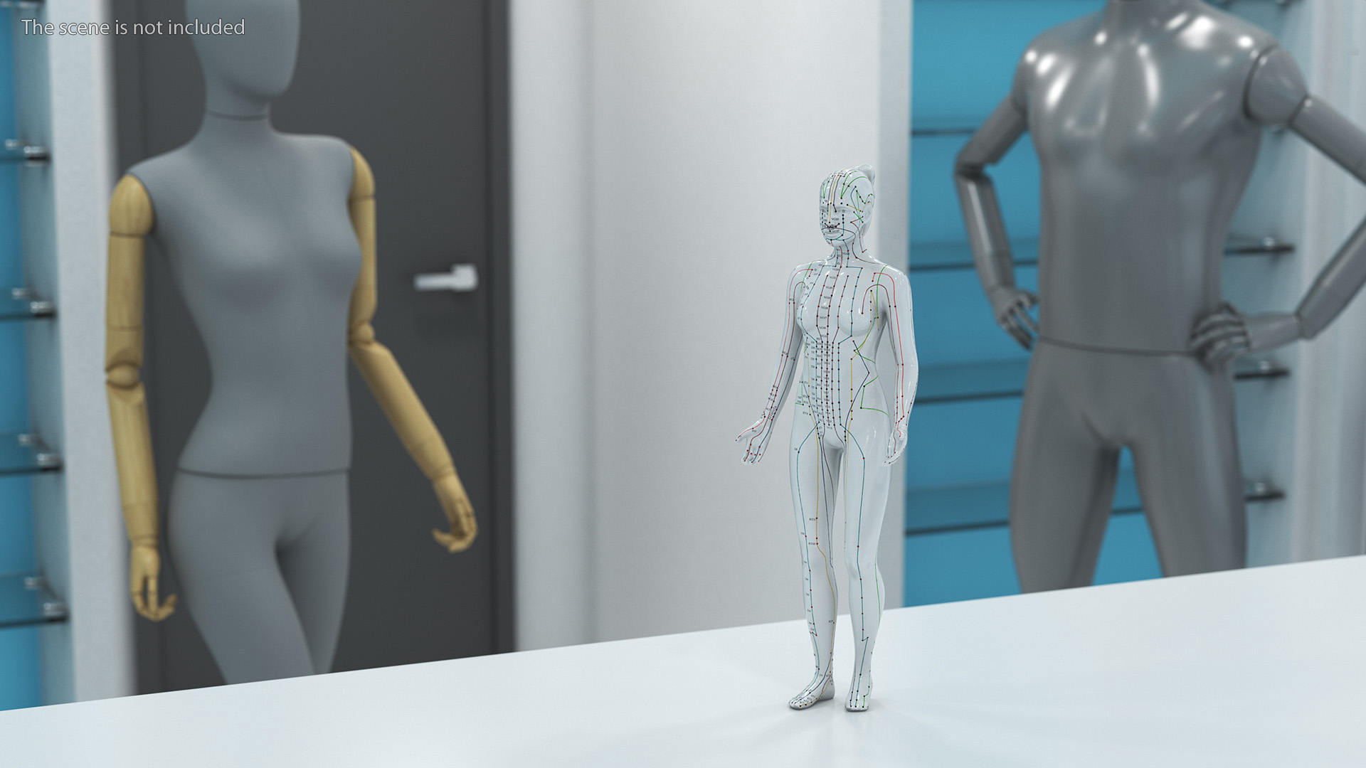 3D Female Acupuncture Mannequin model