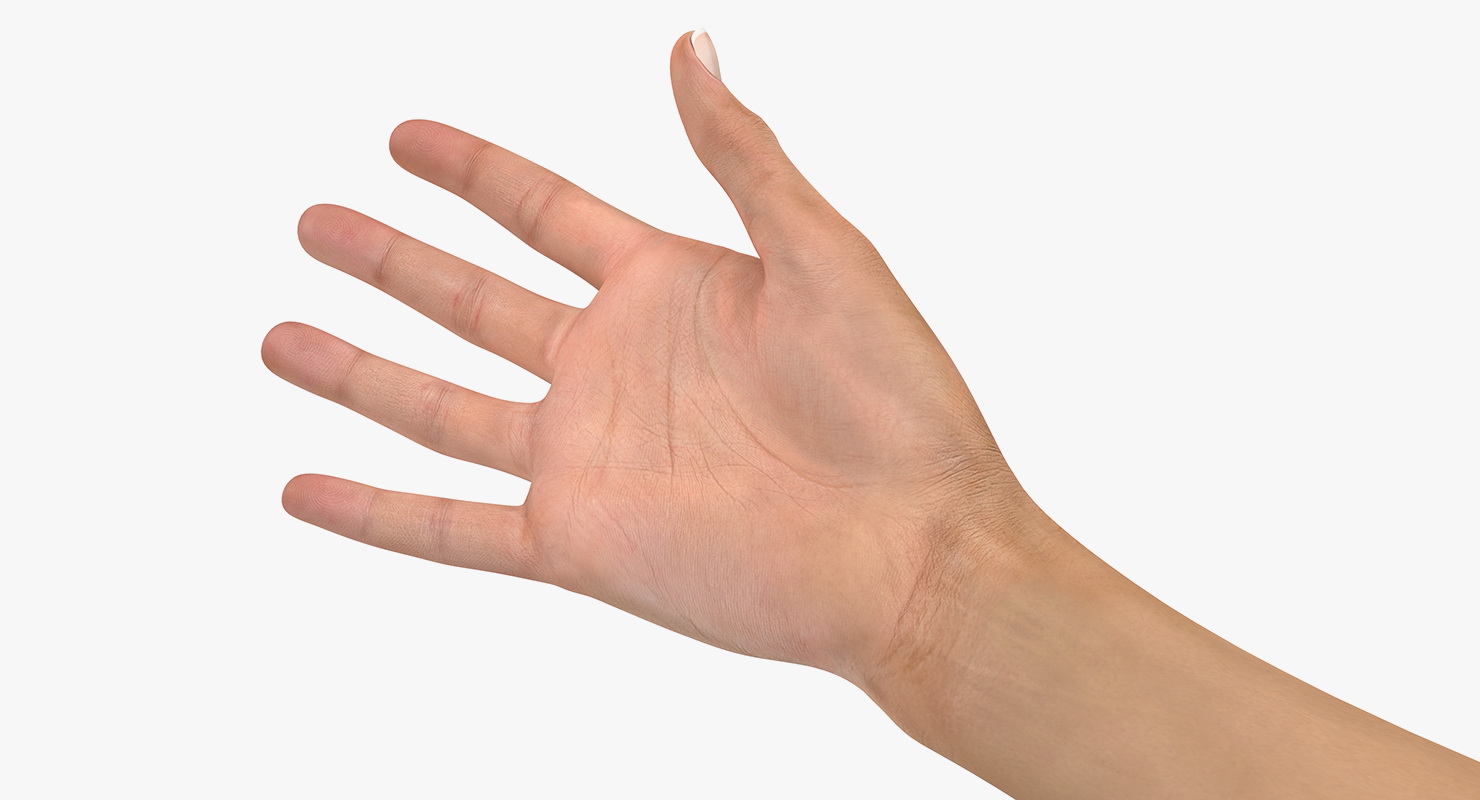 3D model Female Hand with Short Nails Rigged