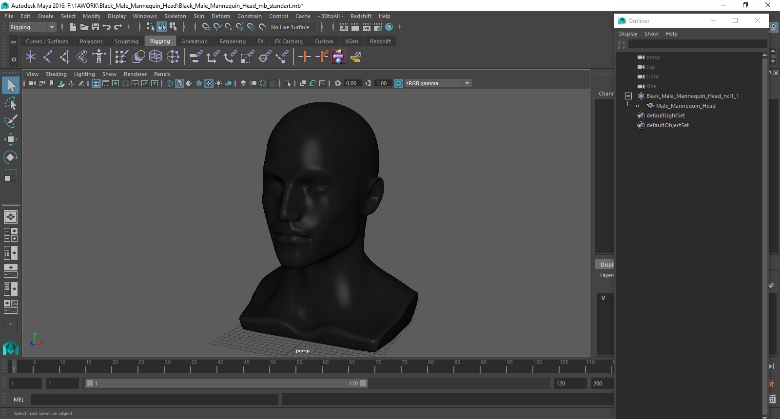 3D model Black Male Mannequin Head