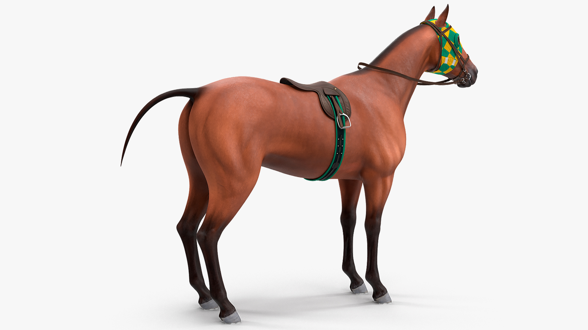 3D Bay Racehorse model