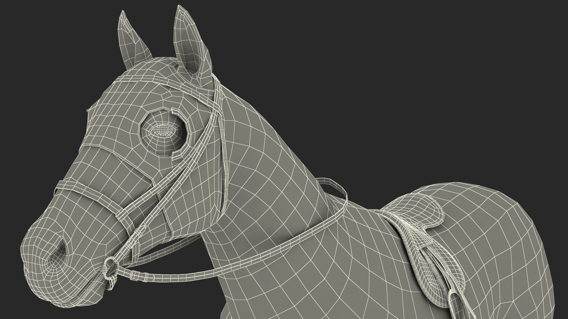 3D Bay Racehorse model