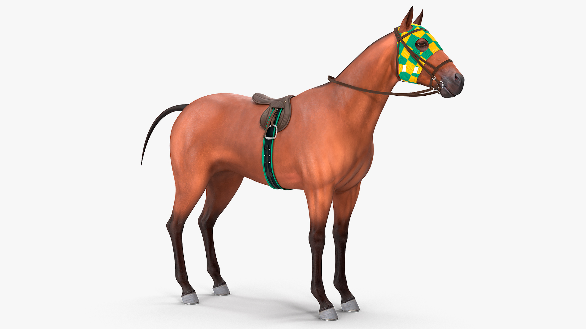 3D Bay Racehorse model