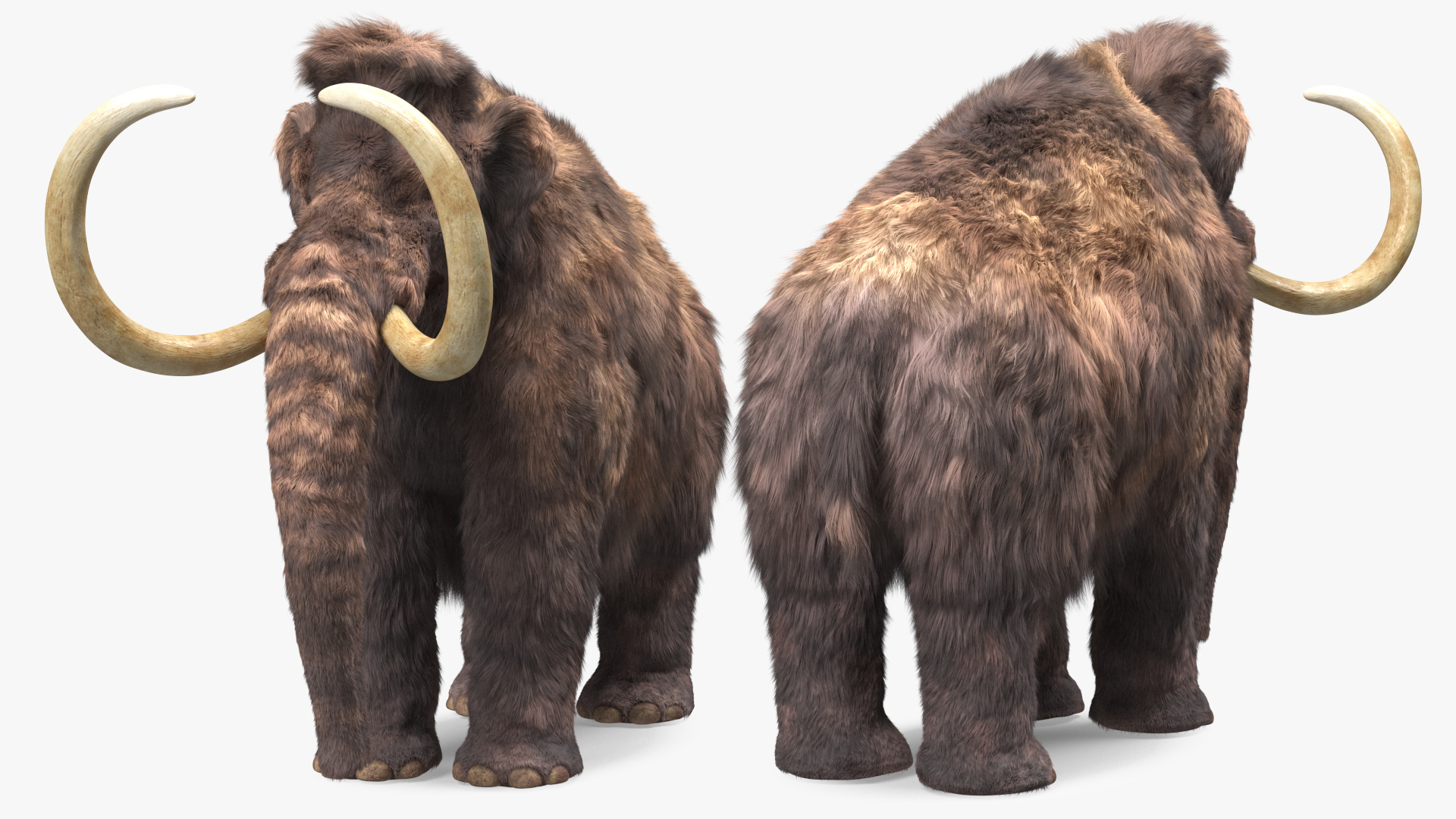 Mammoth Adult Fur 3D