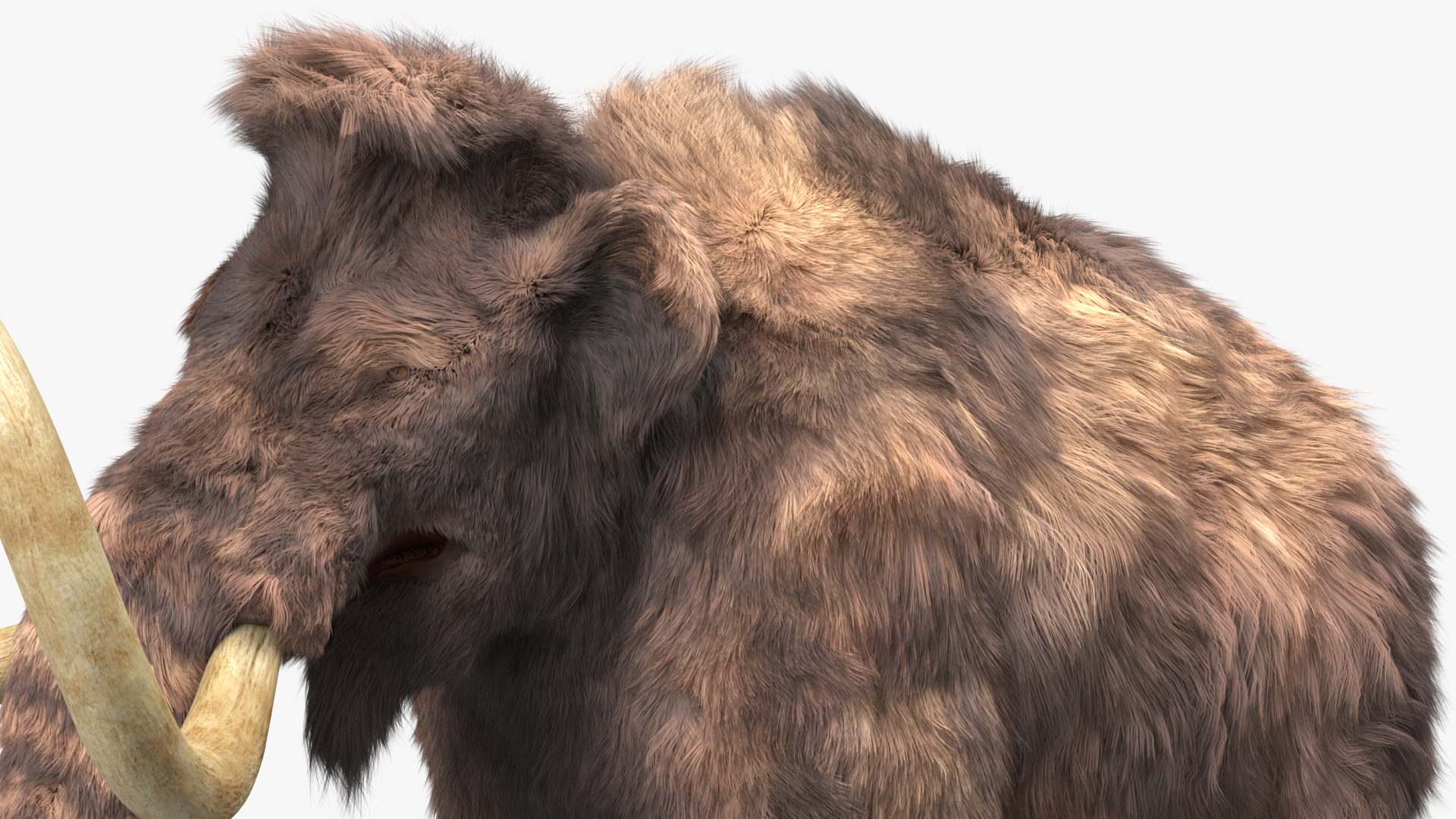 Mammoth Adult Fur 3D