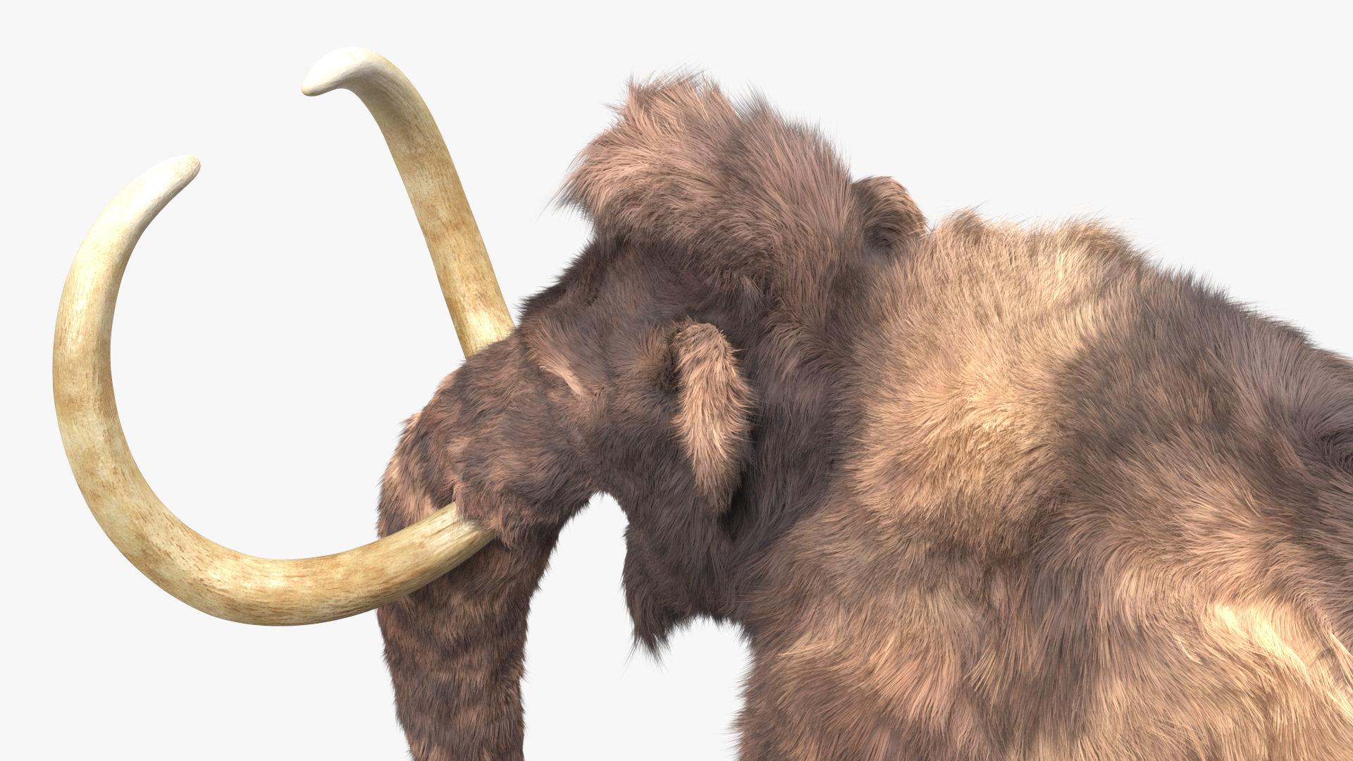 Mammoth Adult Fur 3D