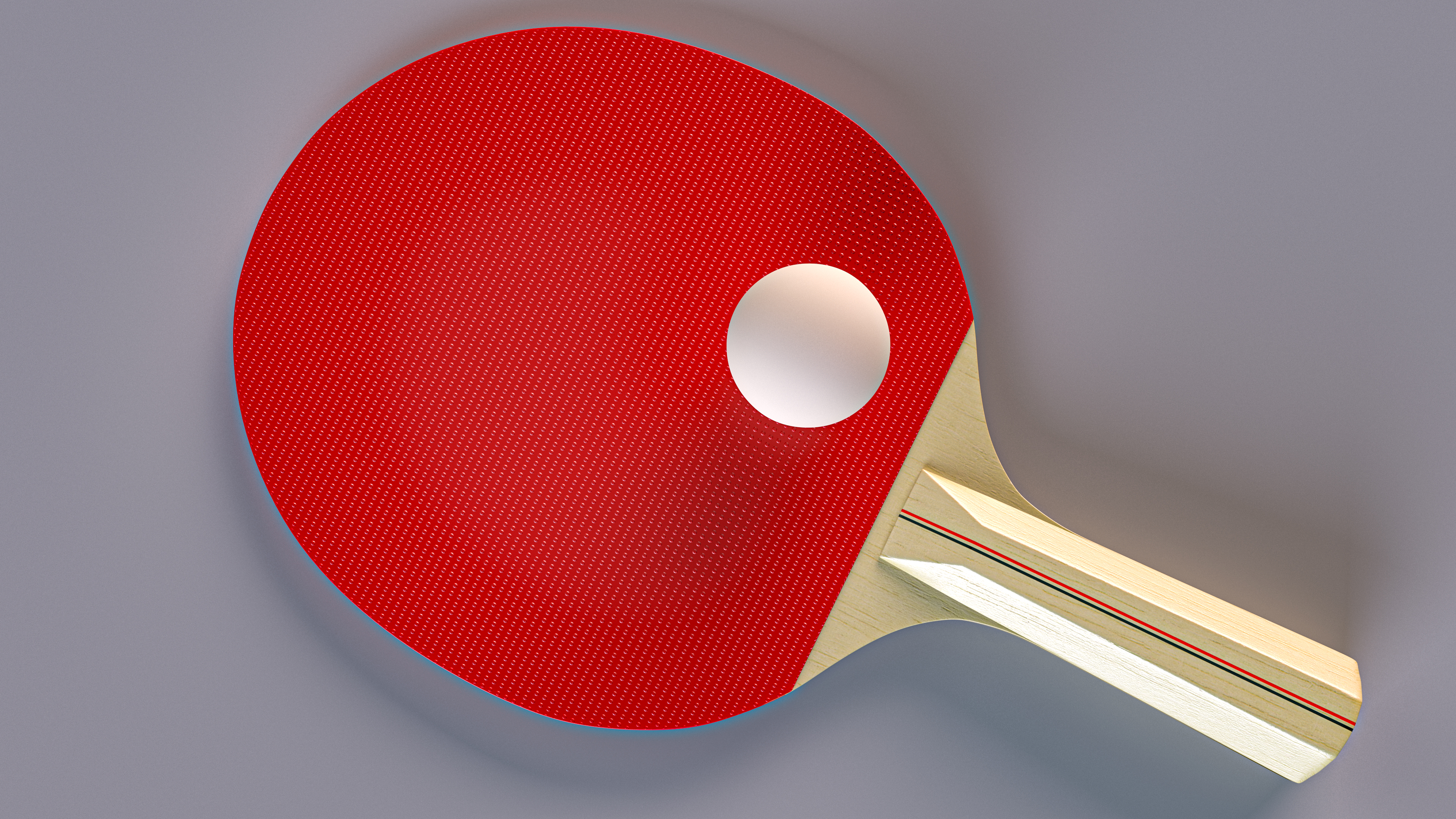 3D model Ping Pong Paddle and Ball