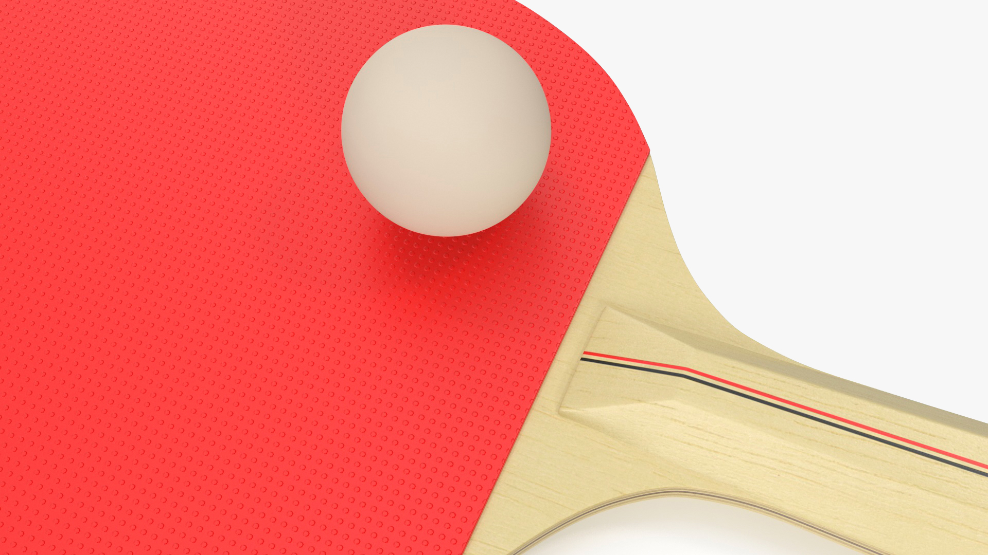 3D model Ping Pong Paddle and Ball