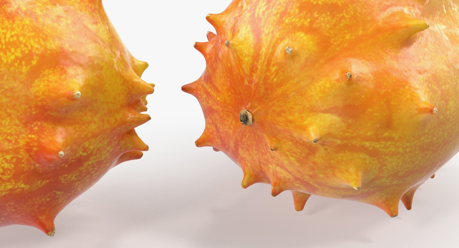 Kiwano Fruit 3D