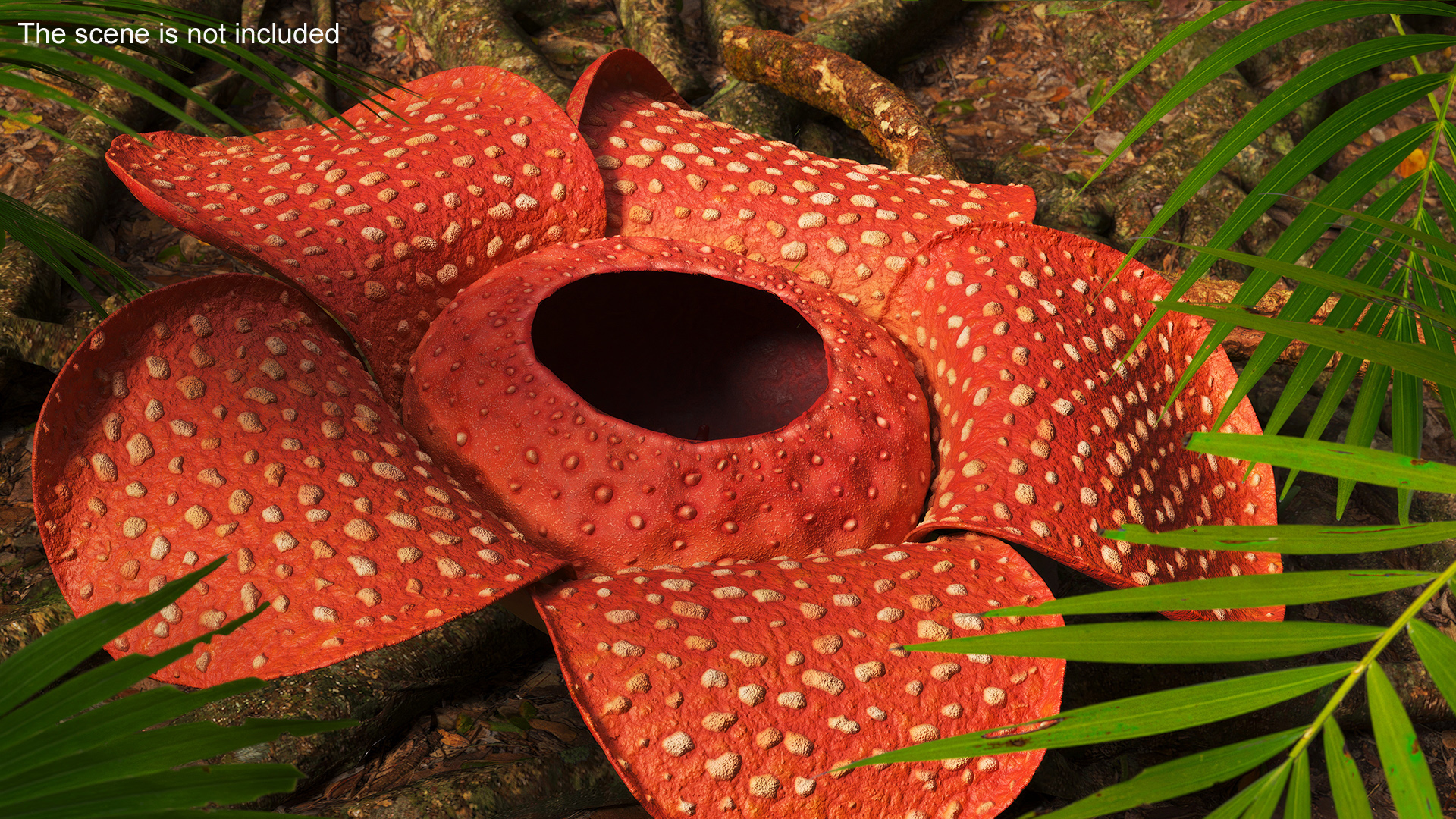 3D Rafflesia Flower