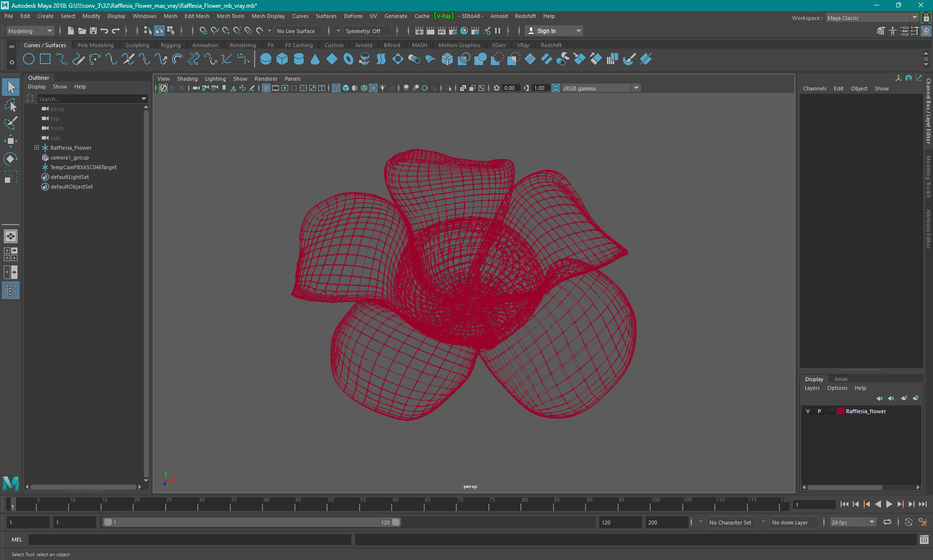 3D Rafflesia Flower