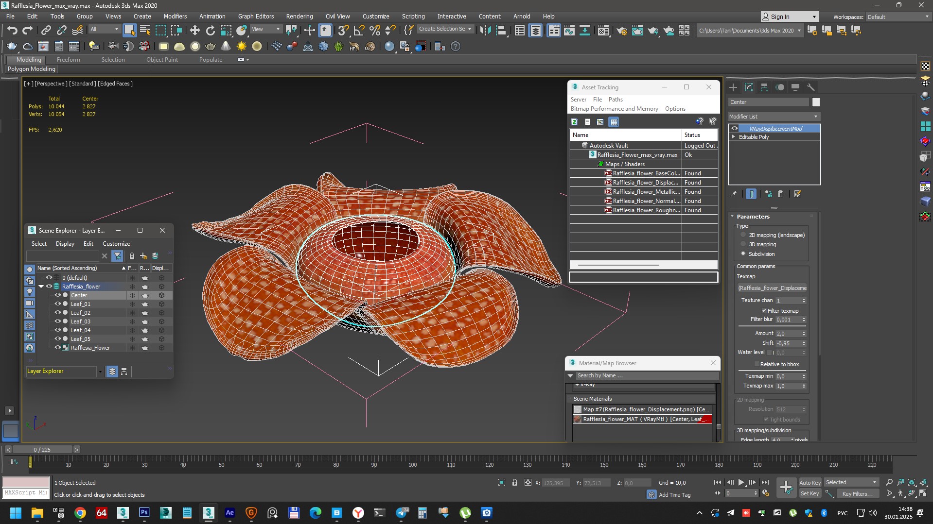 3D Rafflesia Flower