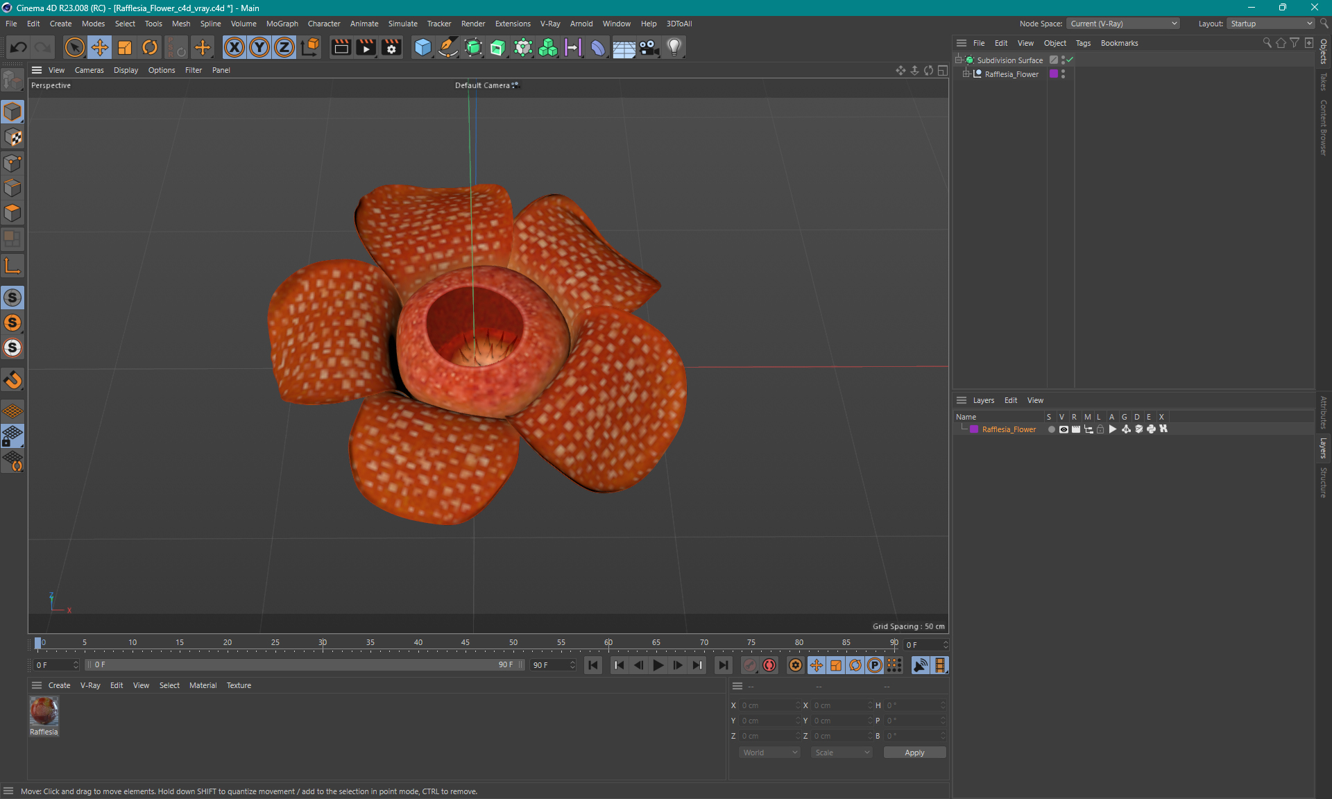 3D Rafflesia Flower