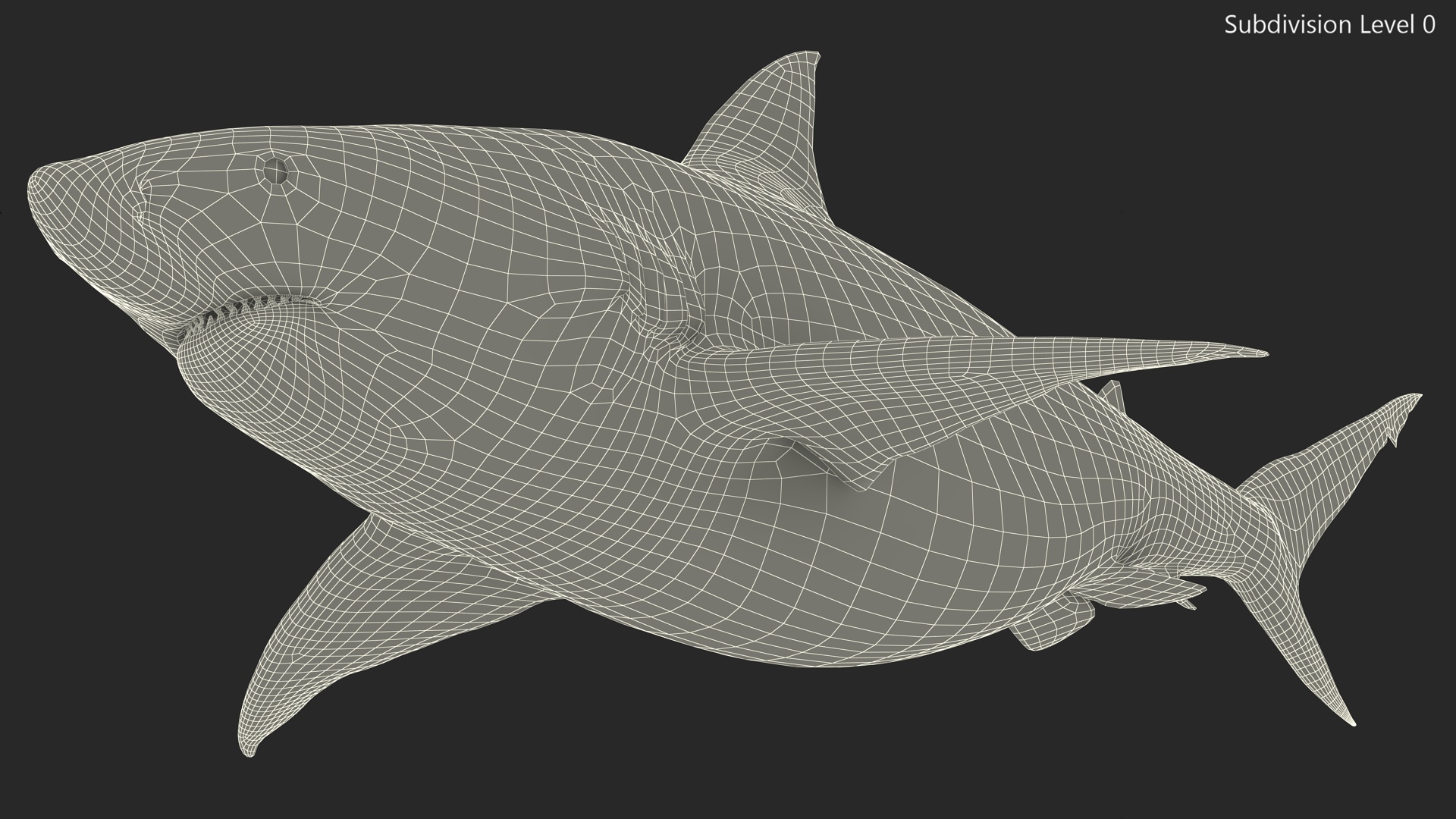 3D model Java Shark