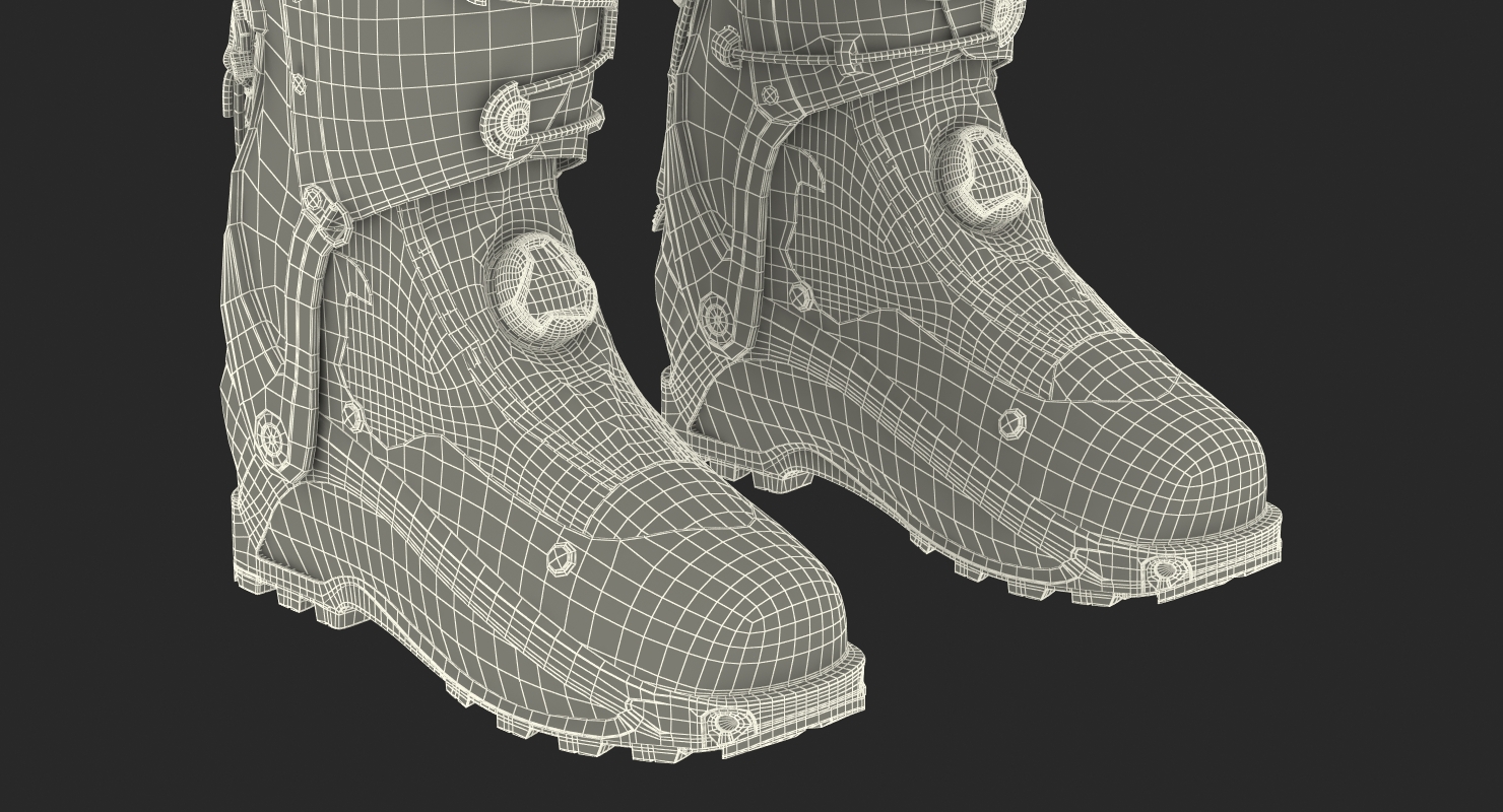 Ski Boots 3D model