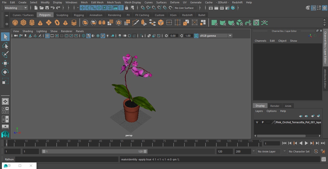 3D Pink Orchid Terracotta Pot