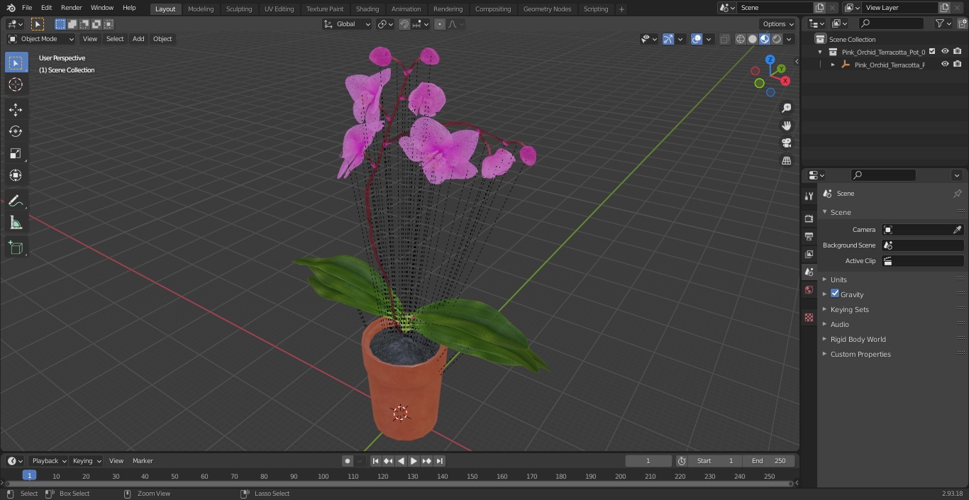 3D Pink Orchid Terracotta Pot