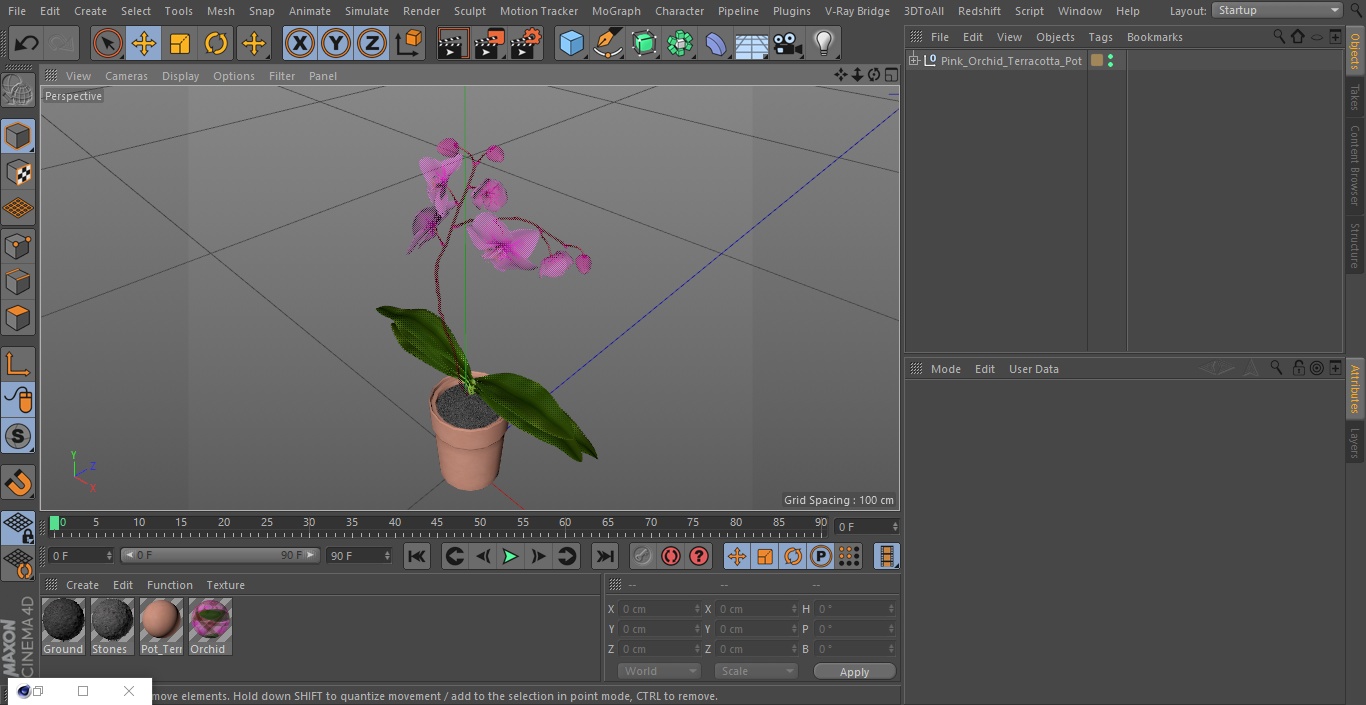 3D Pink Orchid Terracotta Pot