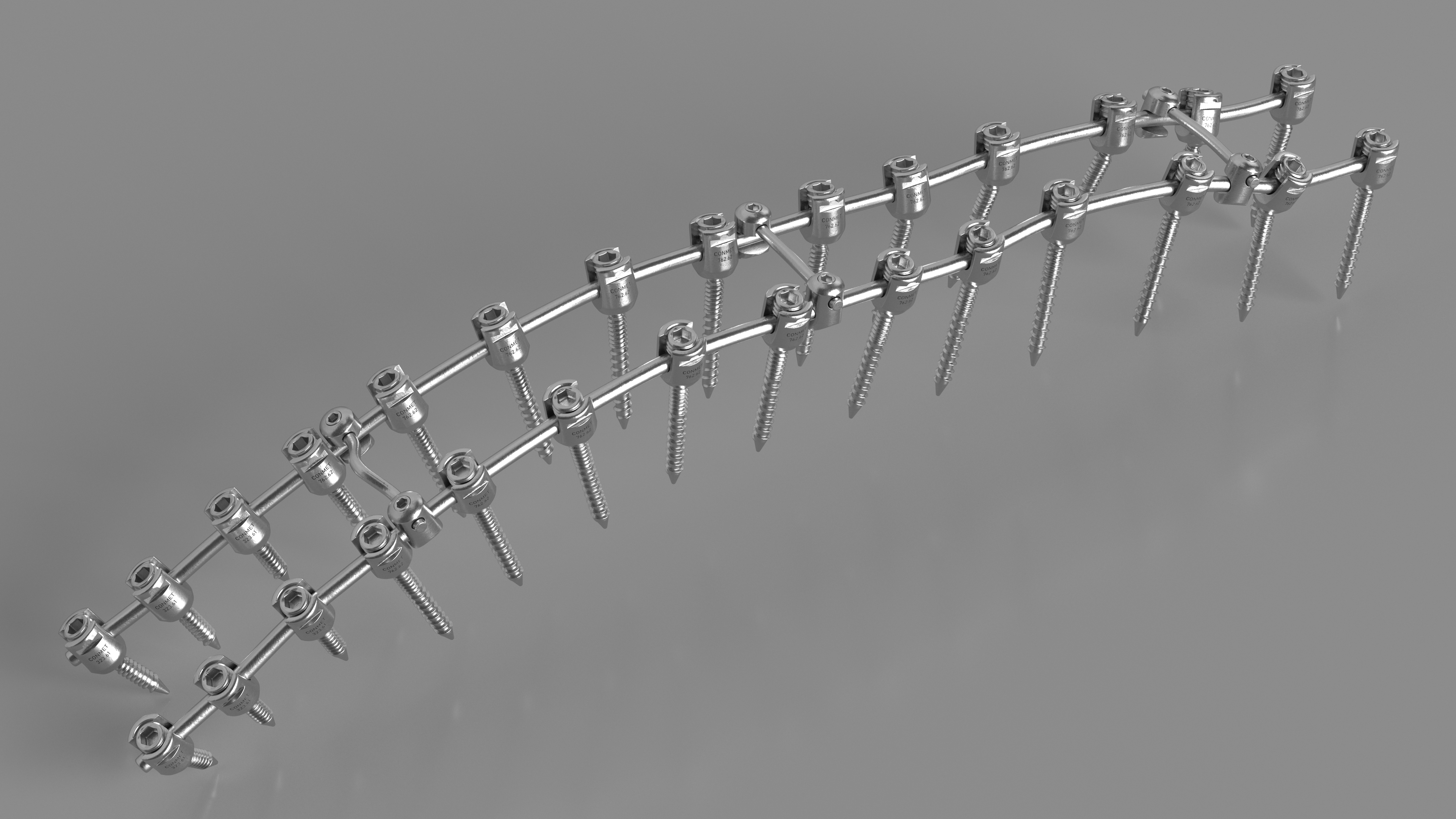 3D model Thoracic Spine Fixation System