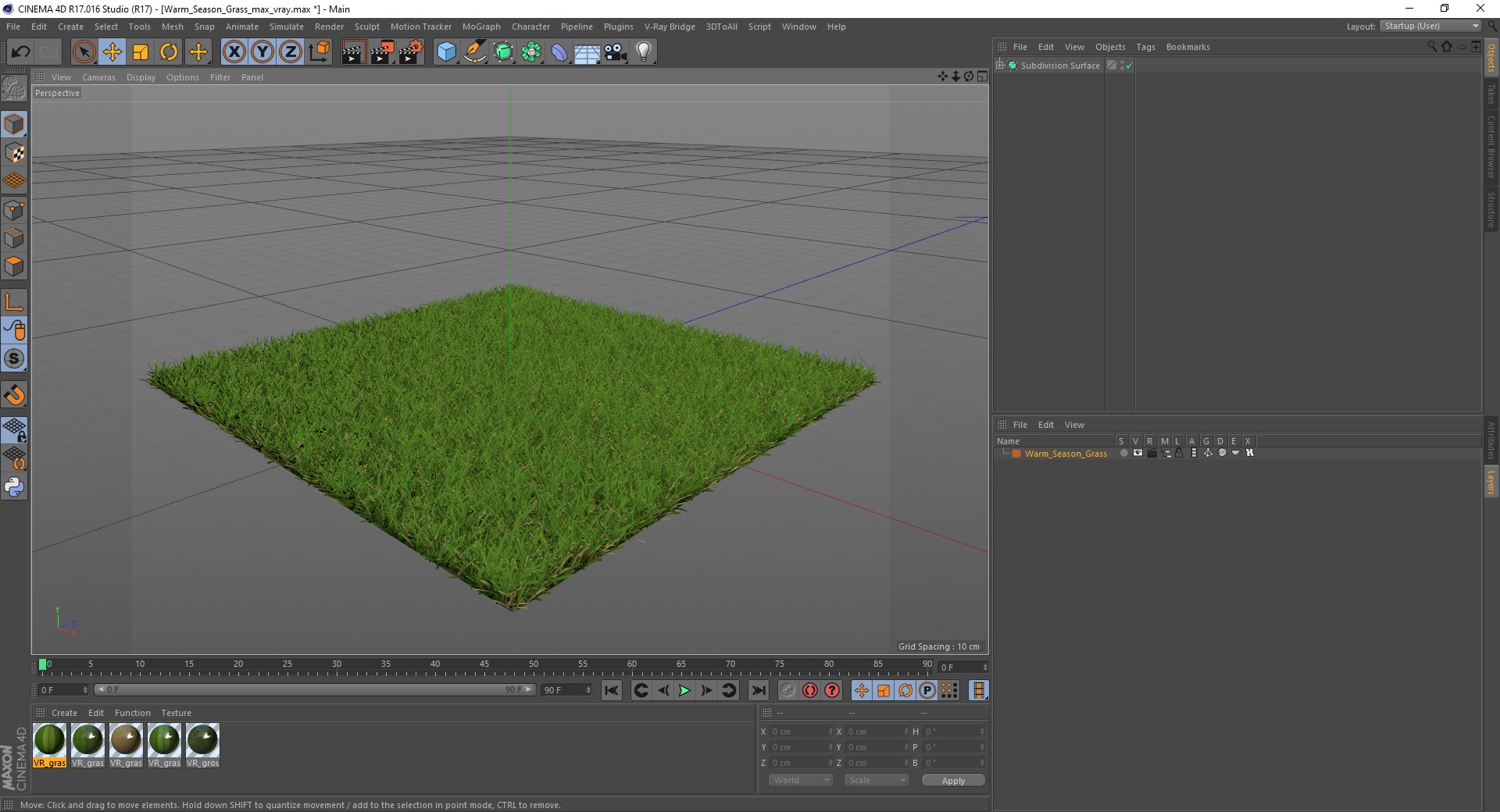 Warm Season Grass 3D