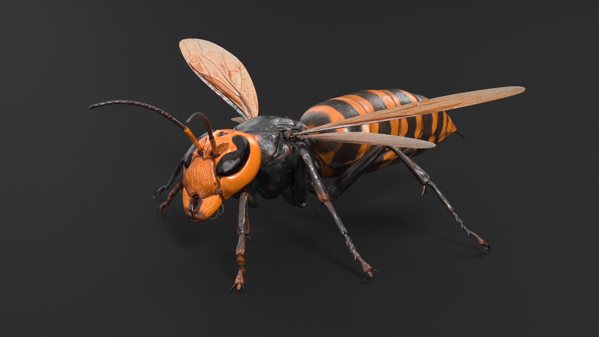 3D Huge Hornet Rigged model