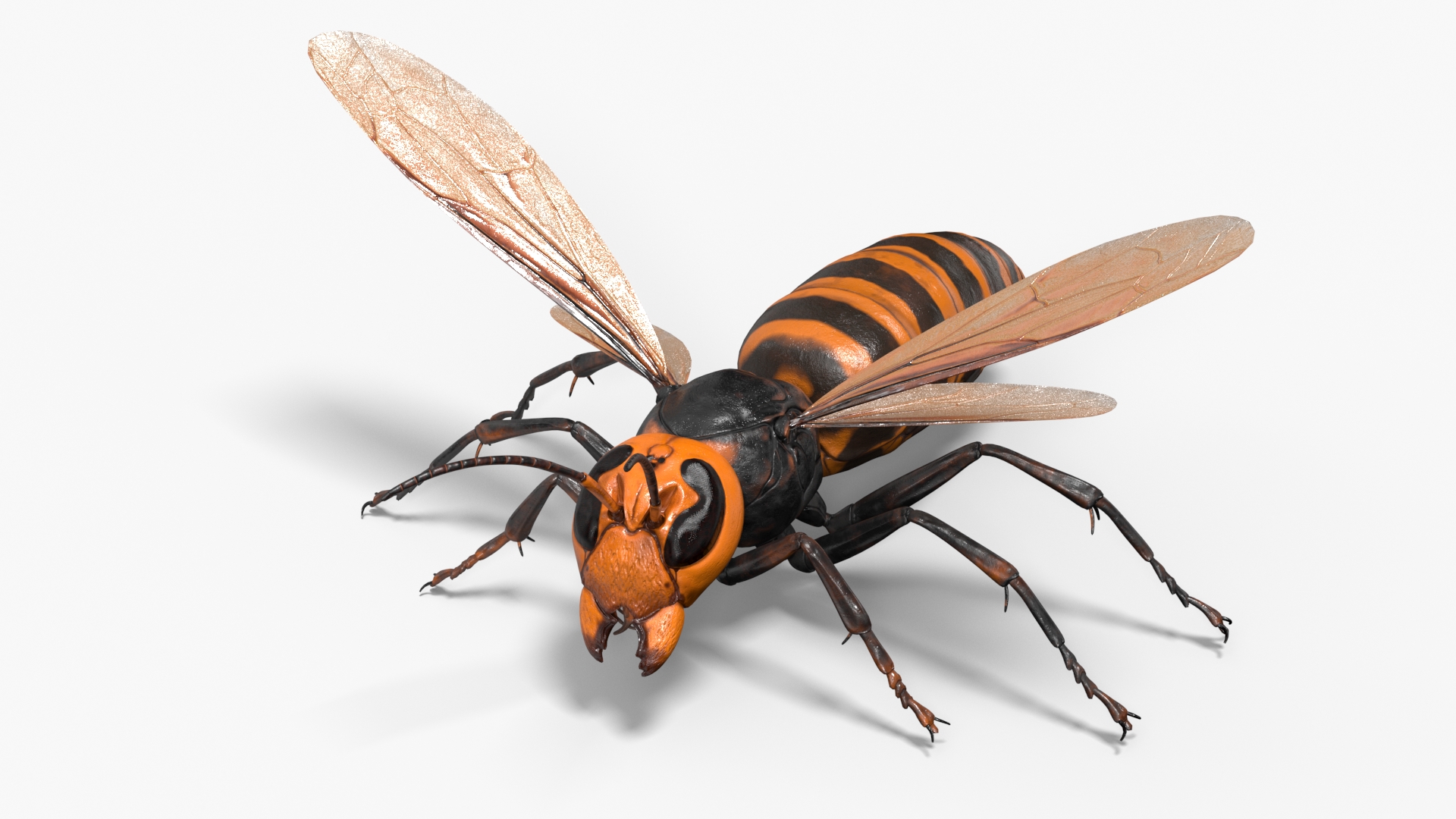 3D Huge Hornet Rigged model