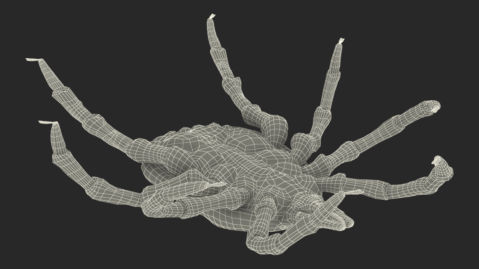 3D model Tick