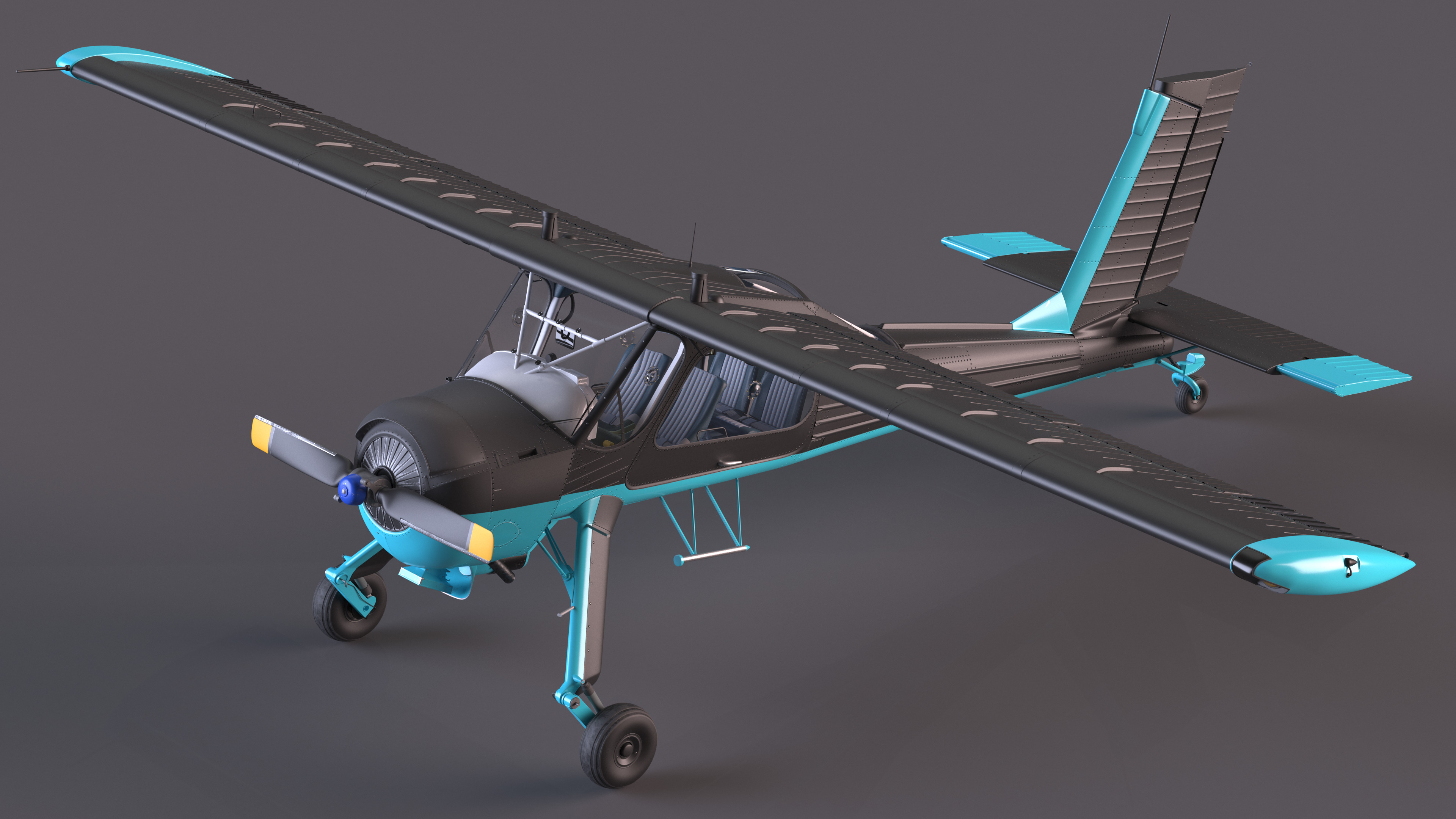 3D American Light Aircraft Black Rigged