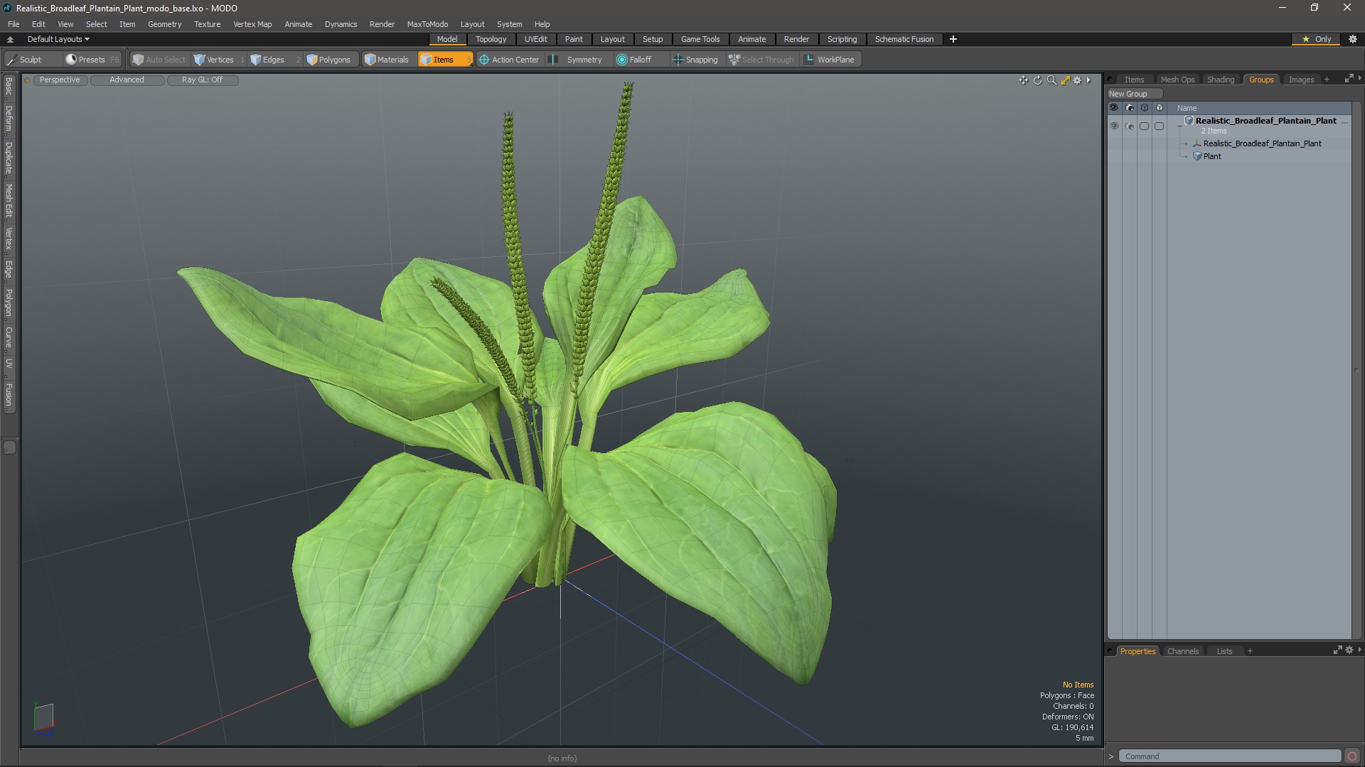 Realistic Broadleaf Plantain Plant 3D model