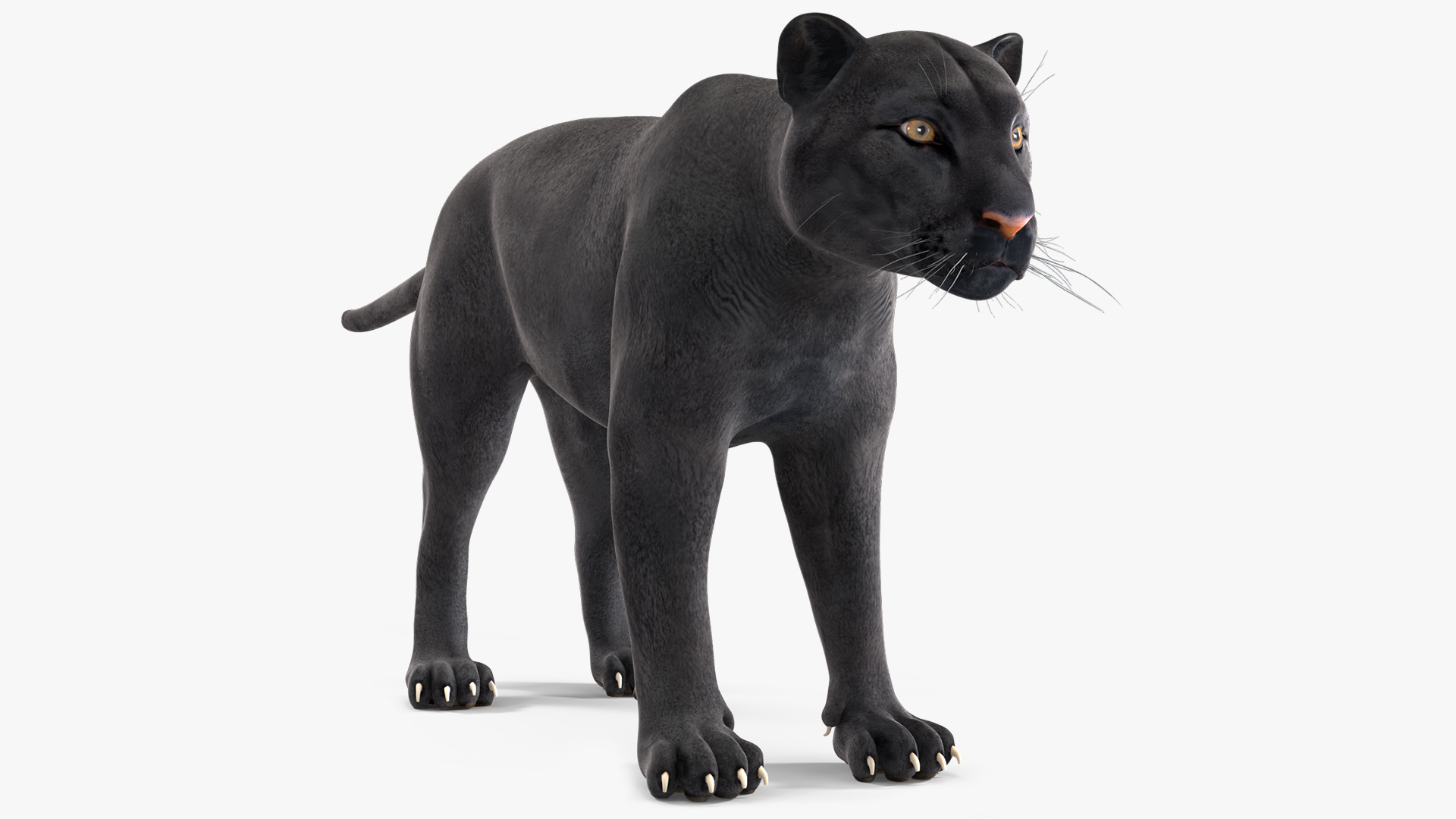 3D Black Panther model