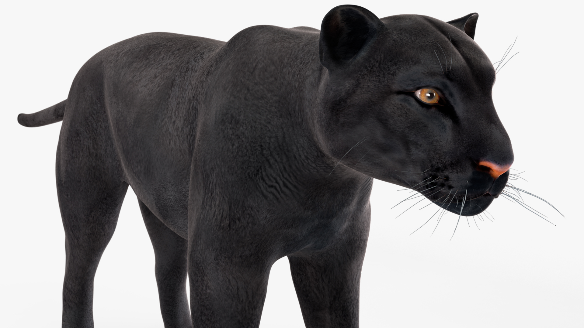 3D Black Panther model