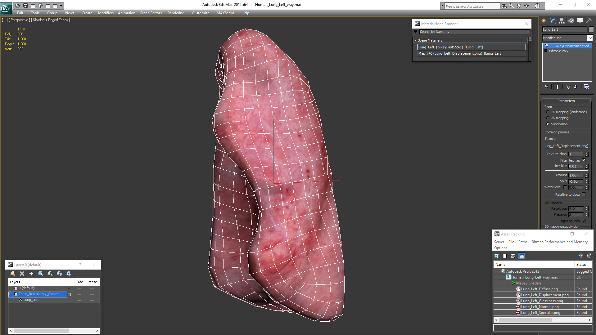 3D model Human Lung Left