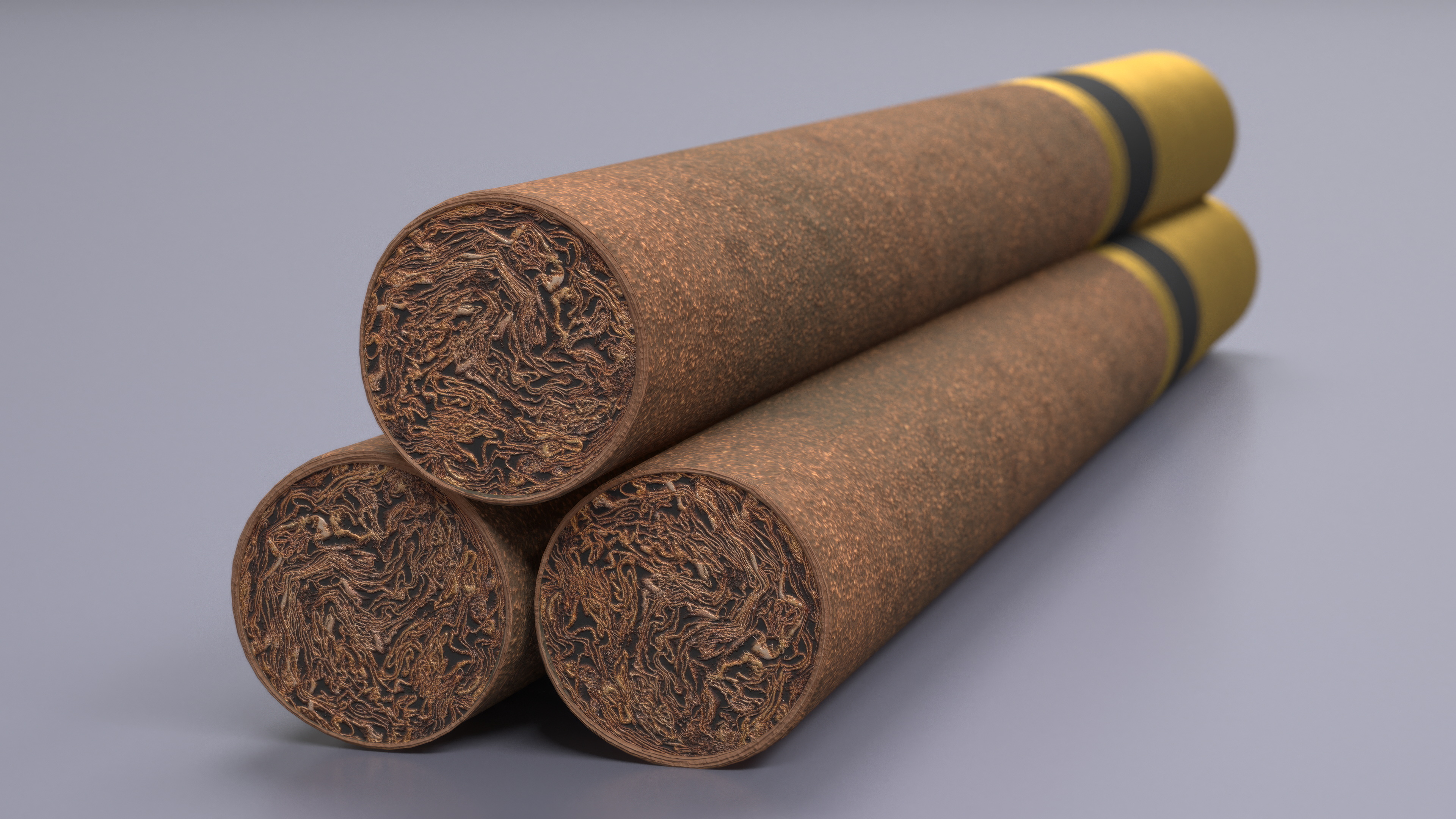 Filtered Cigar 3D model