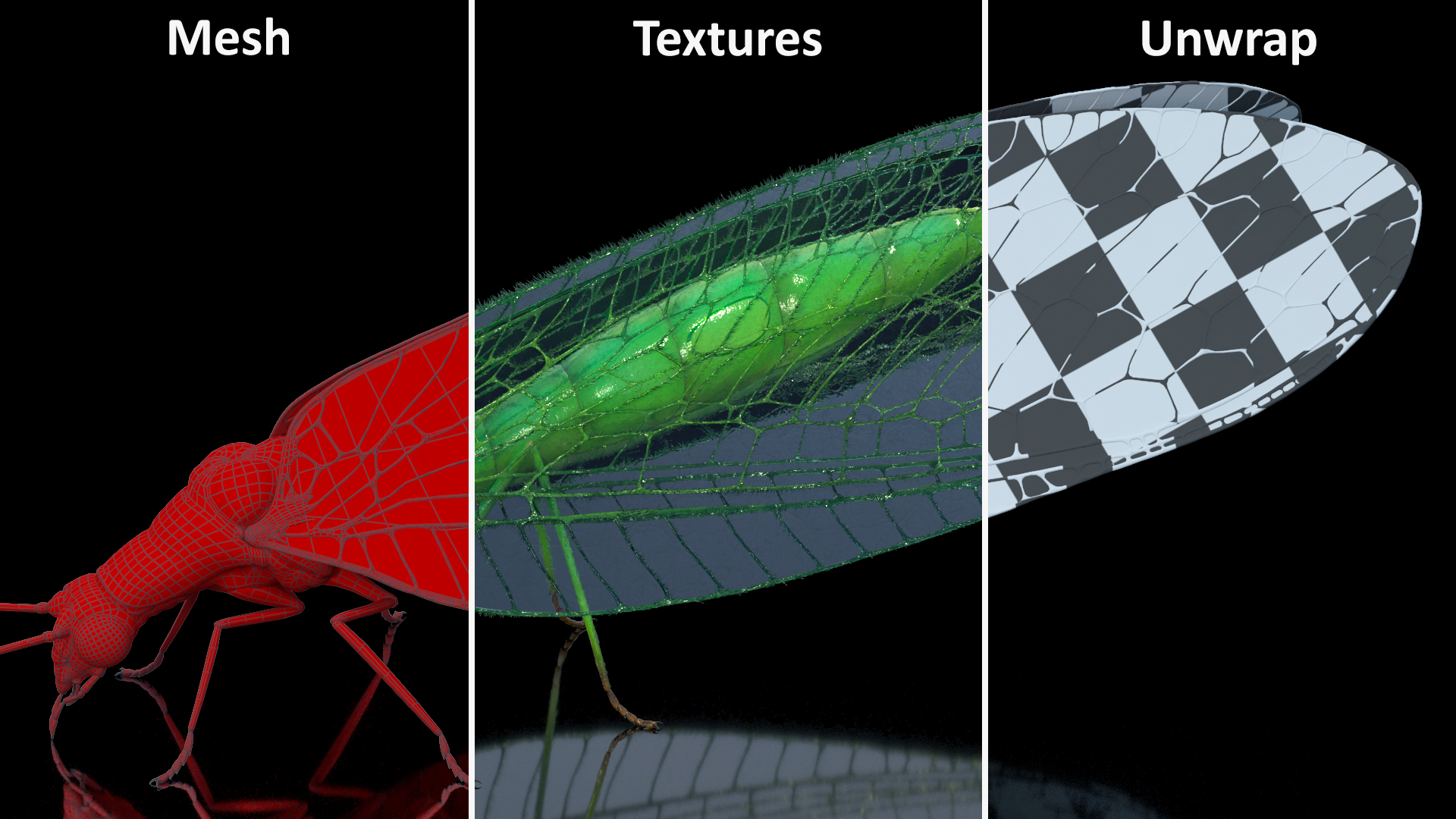 3D model Chrysopa Oculata Fur